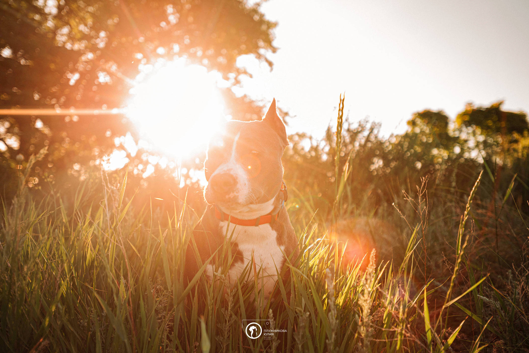 Юлия и Бэтти. Фотограф — анималист Саратов/Москва|Плужникова Юлия