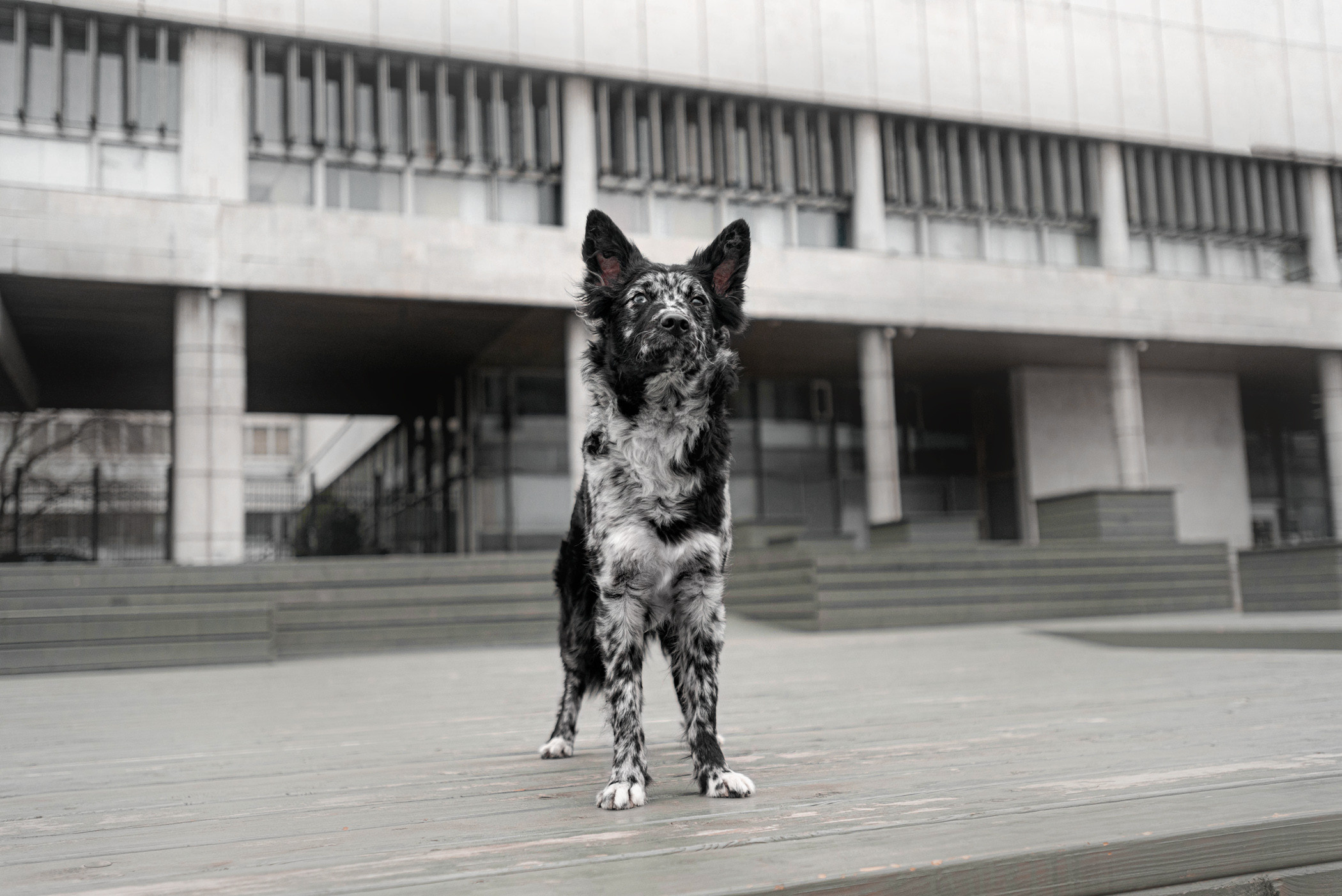 Маша и Эни в Музеоне. Фотограф — анималист Саратов/Москва|Плужникова Юлия