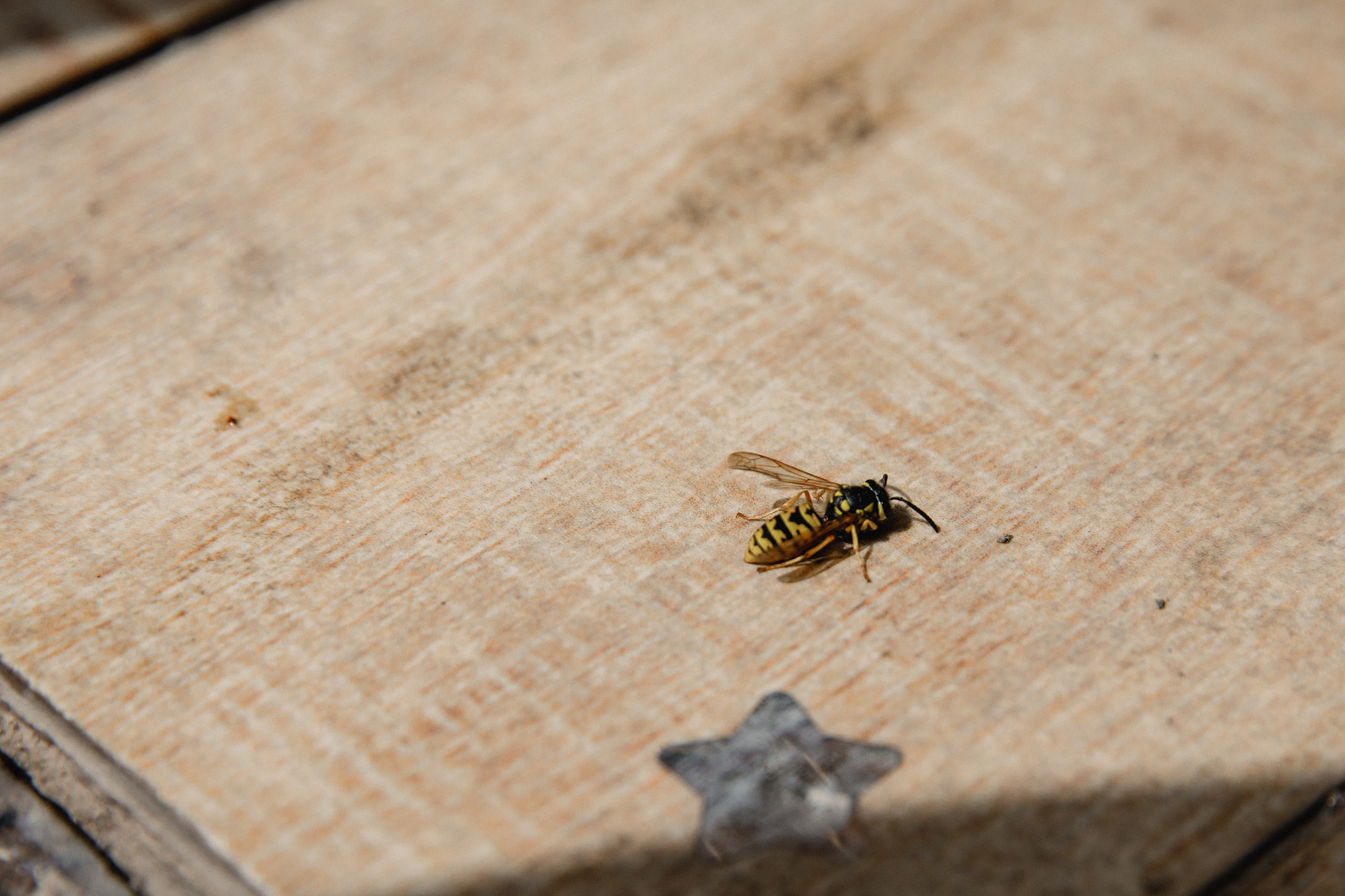 Детали на свадьбе
