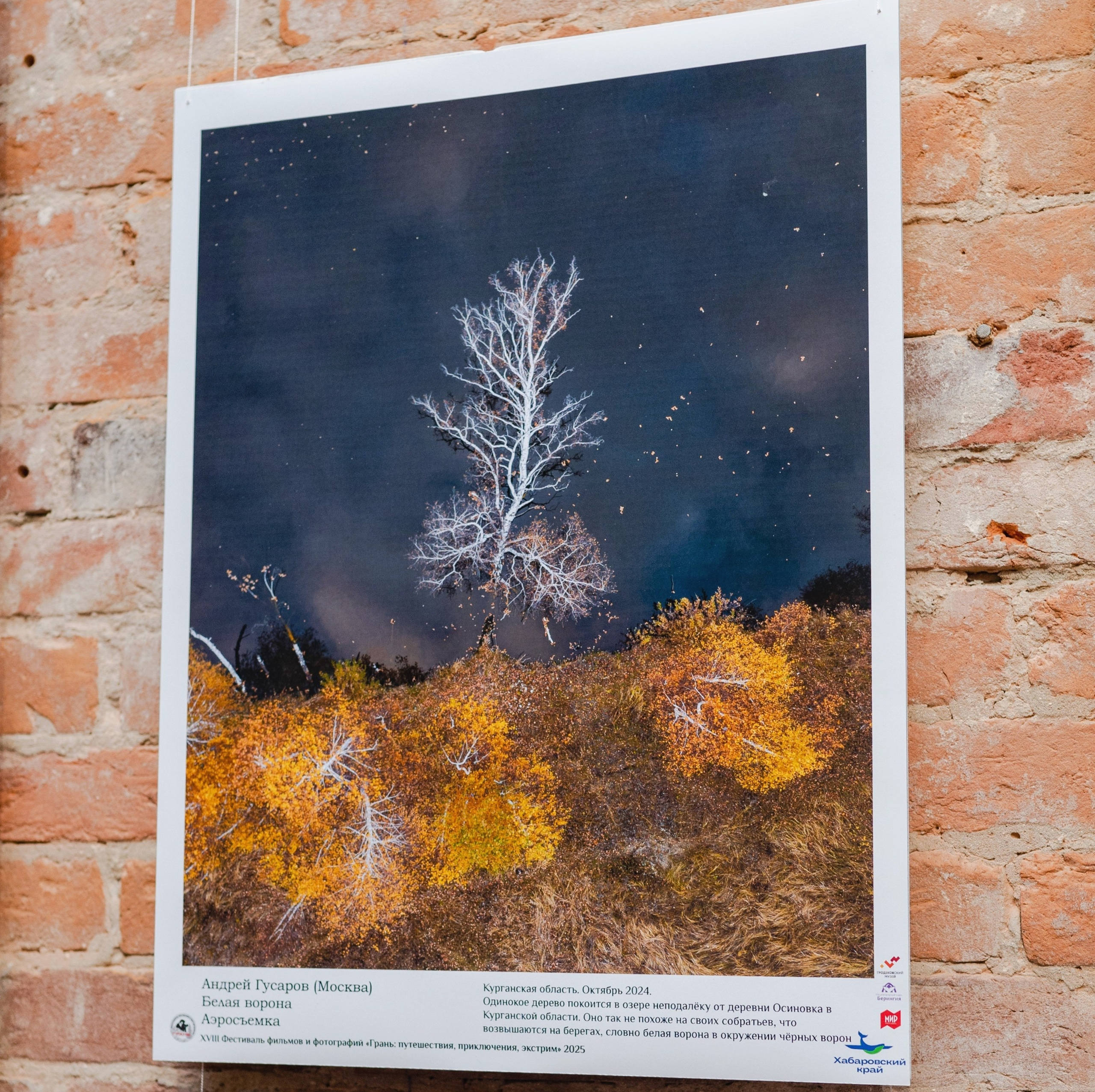 Награды. Gusarov Travel Photography