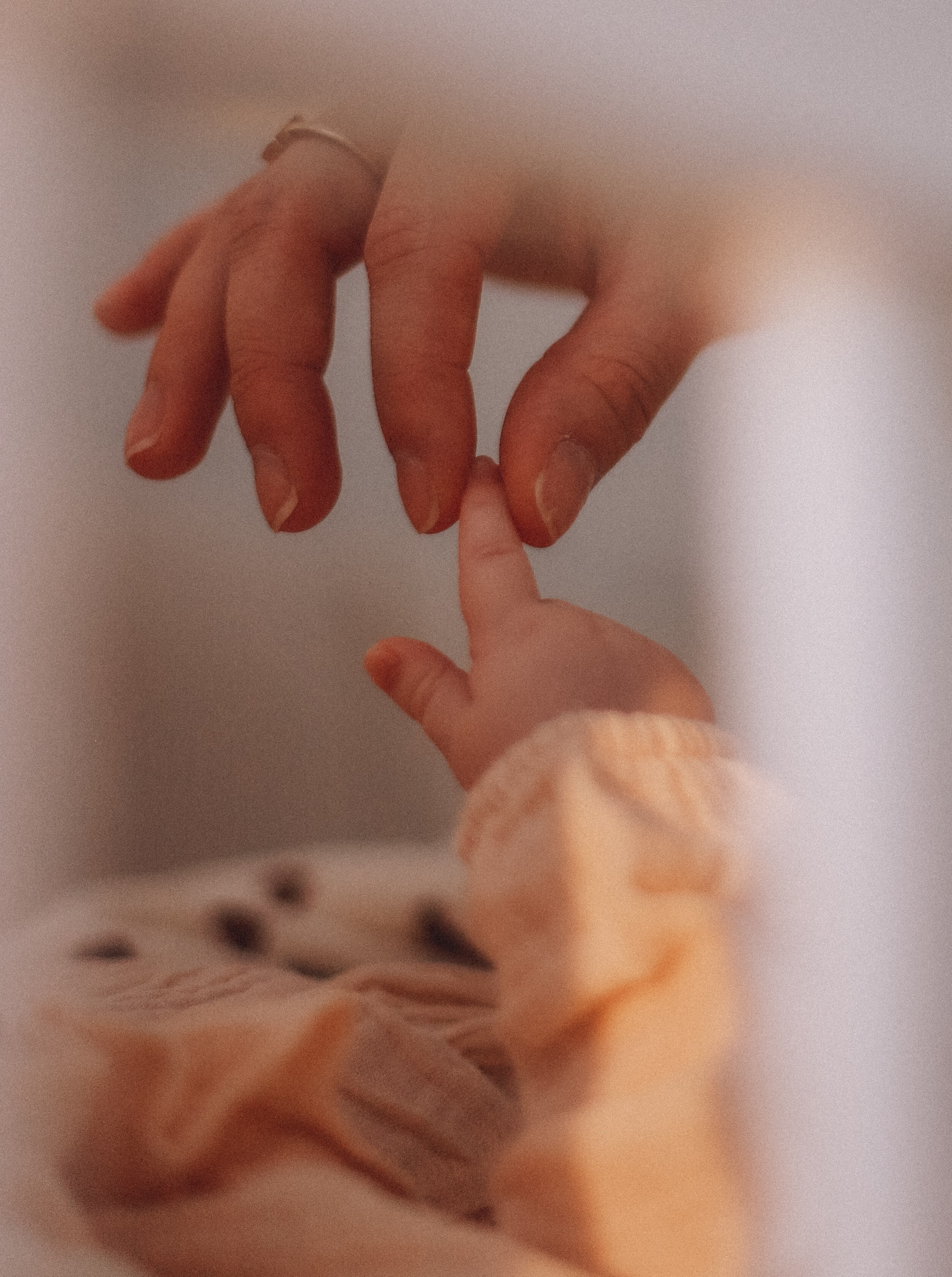 Ваш семейный фотограф в городе Армавир, Юлия Леонович