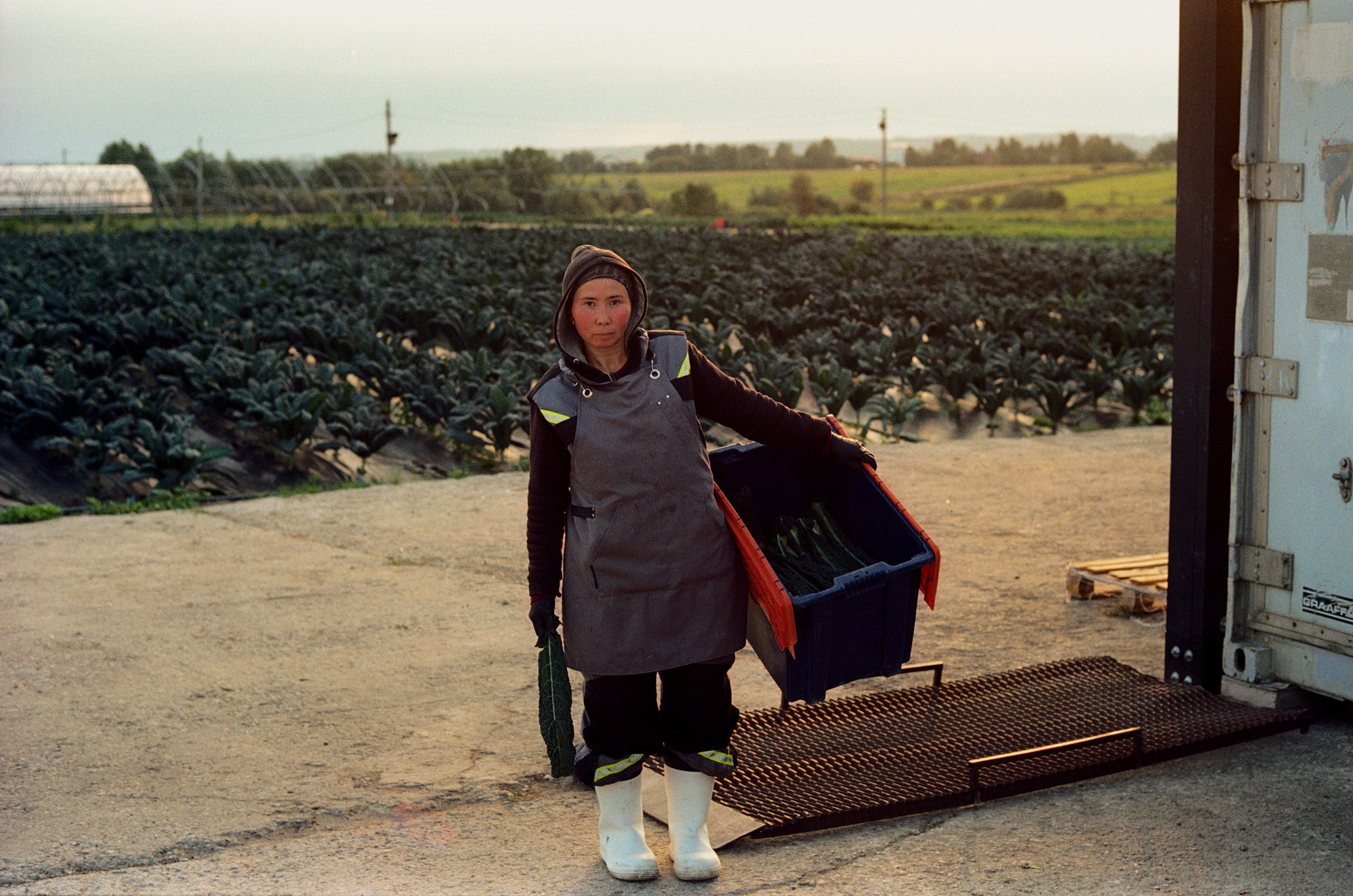 SuperFoodFarm. The history of the farm. Another person Pavel Potseluev. A photographer in 2025