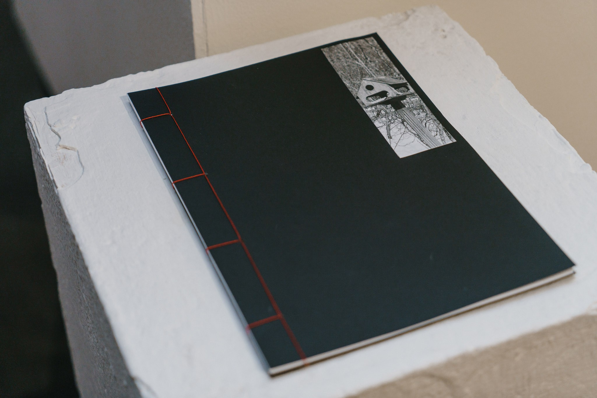 Пьюти-фьют. Игорь Скабелин