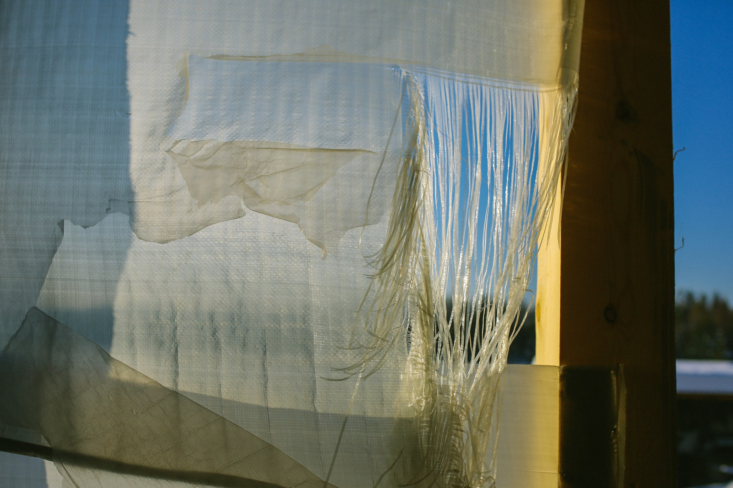 Часть I. 2018 — 2019. Наталья Чернобровкина — междисциплинарный художник