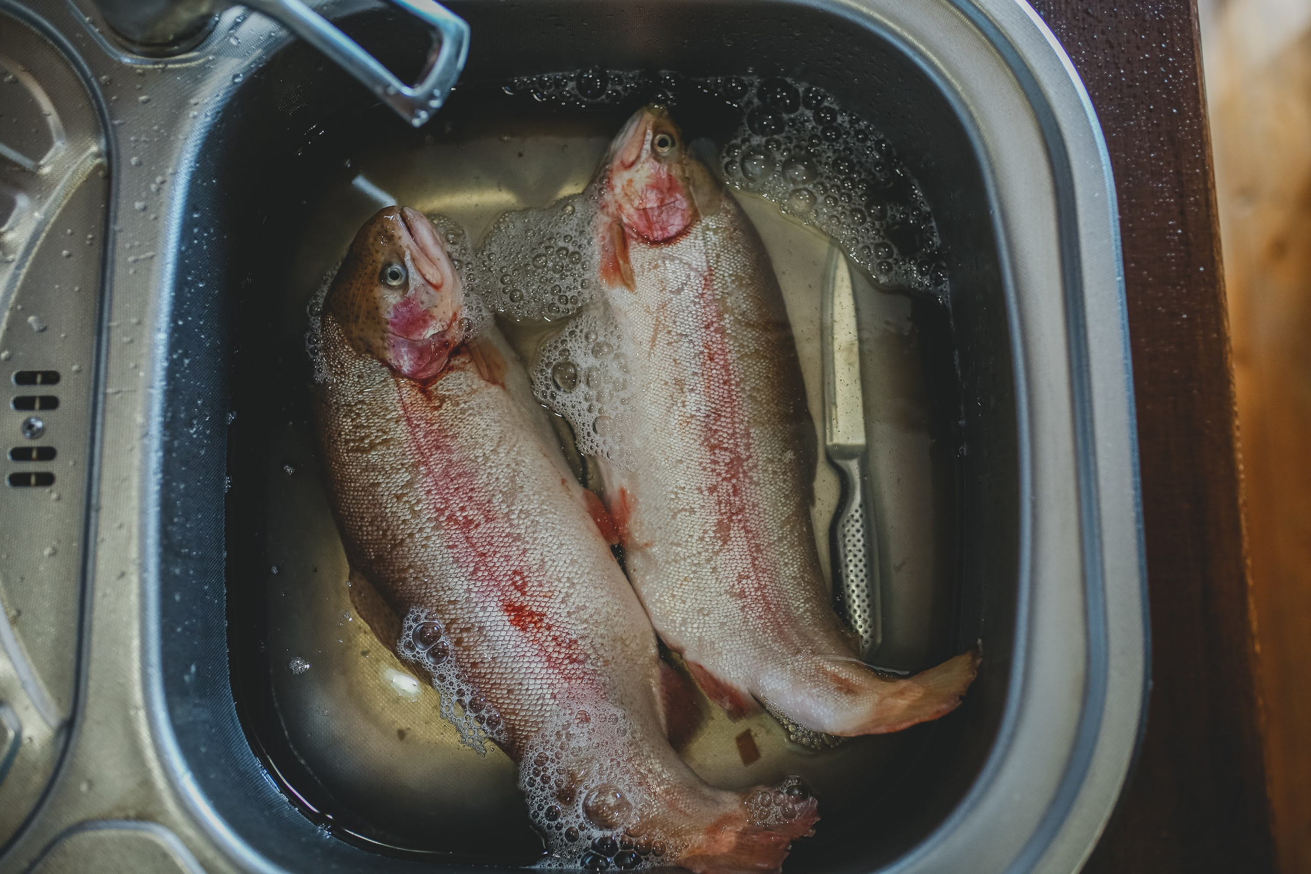 Часть III. 2020 — 2021. Наталья Чернобровкина — междисциплинарный художник