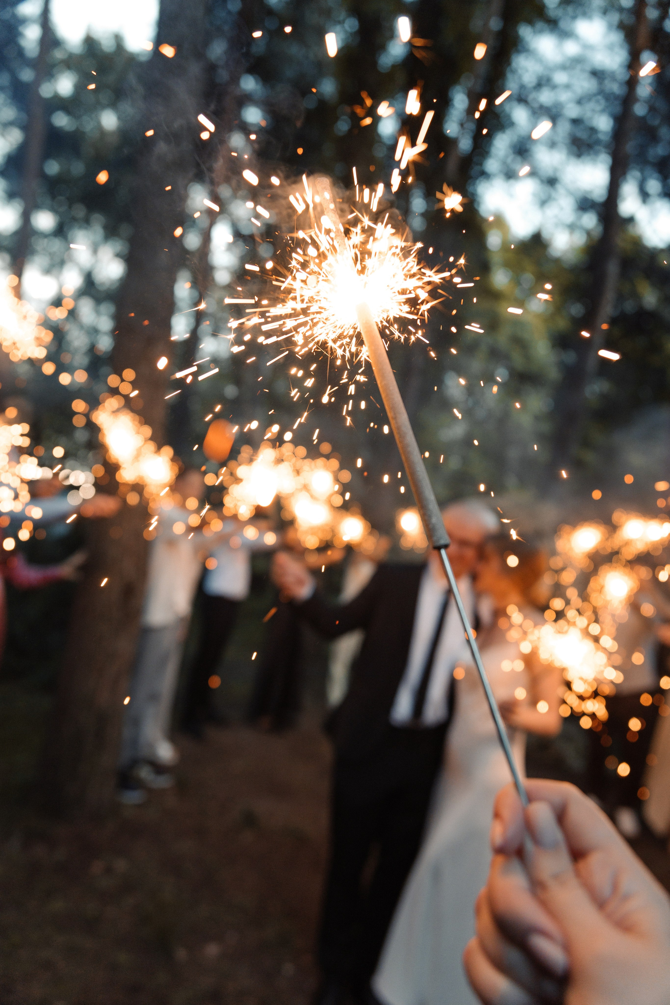 Ярослав и Анасатасия