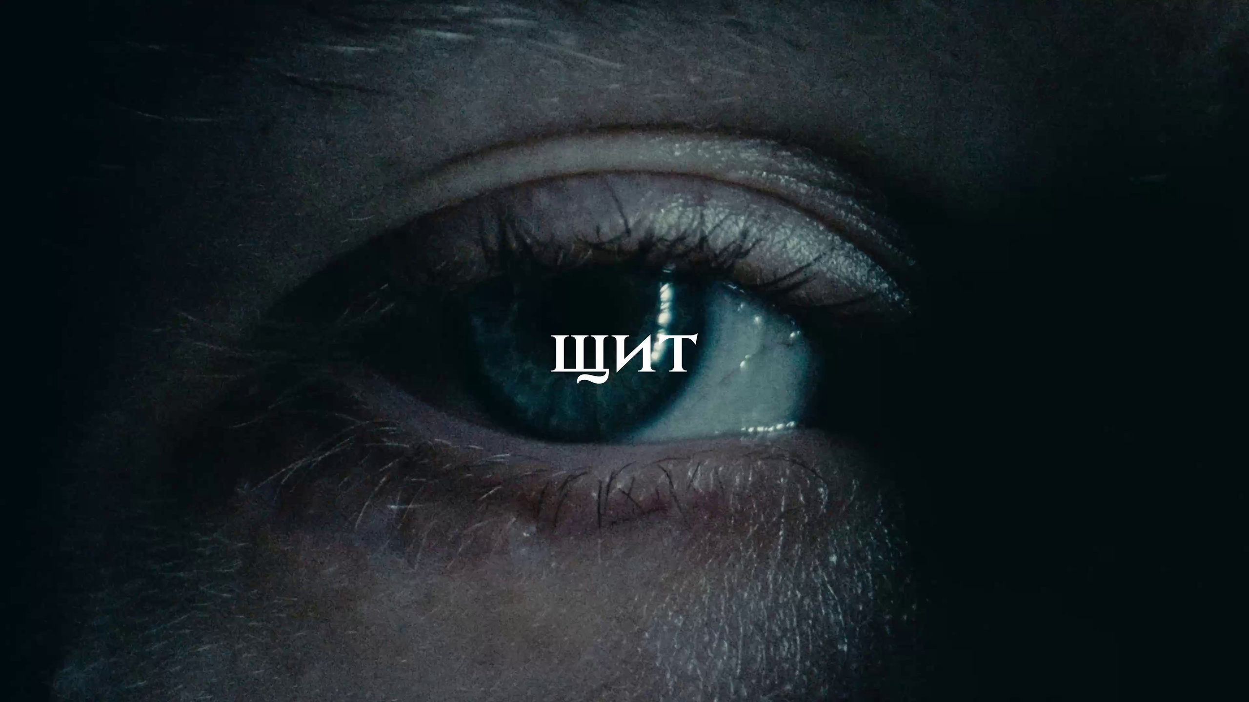 Портфолио. ТK