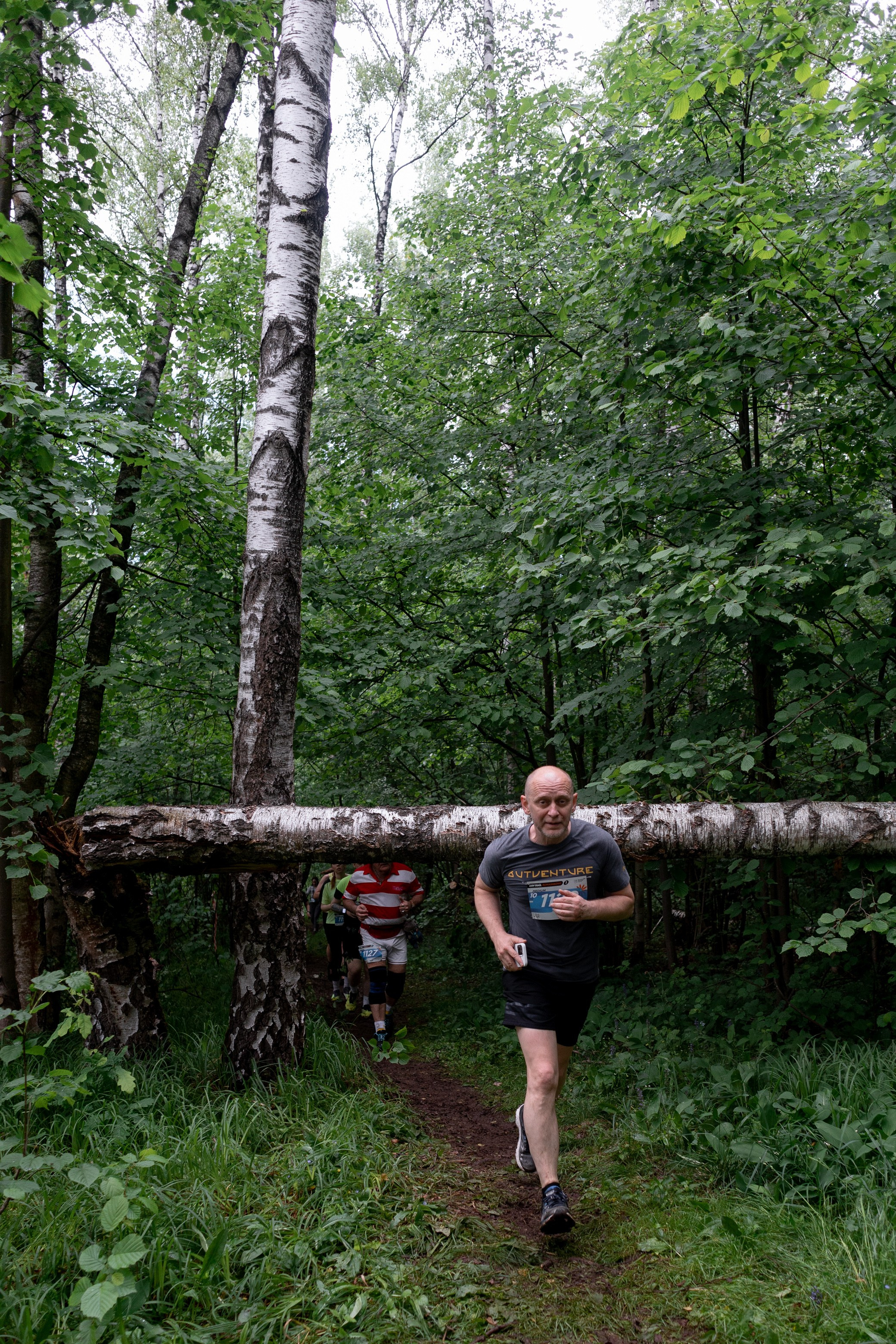 CityTrail Ромашково