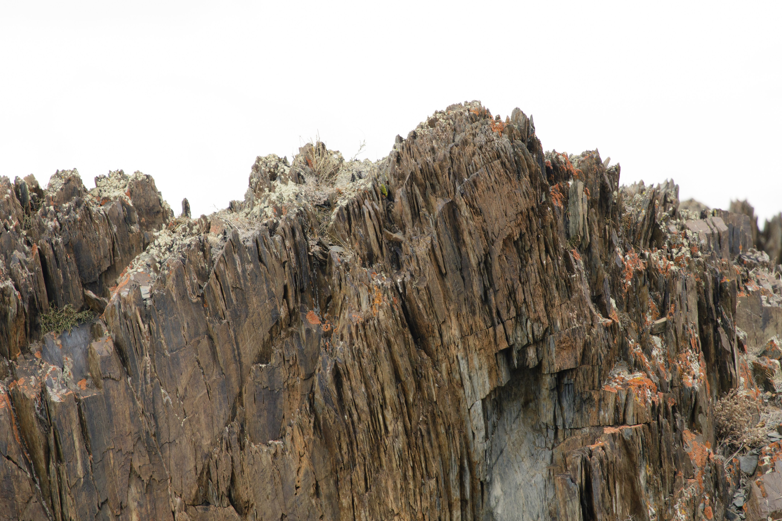 Горный Алтай. Фотограф Кирилл Мешков Кемерово