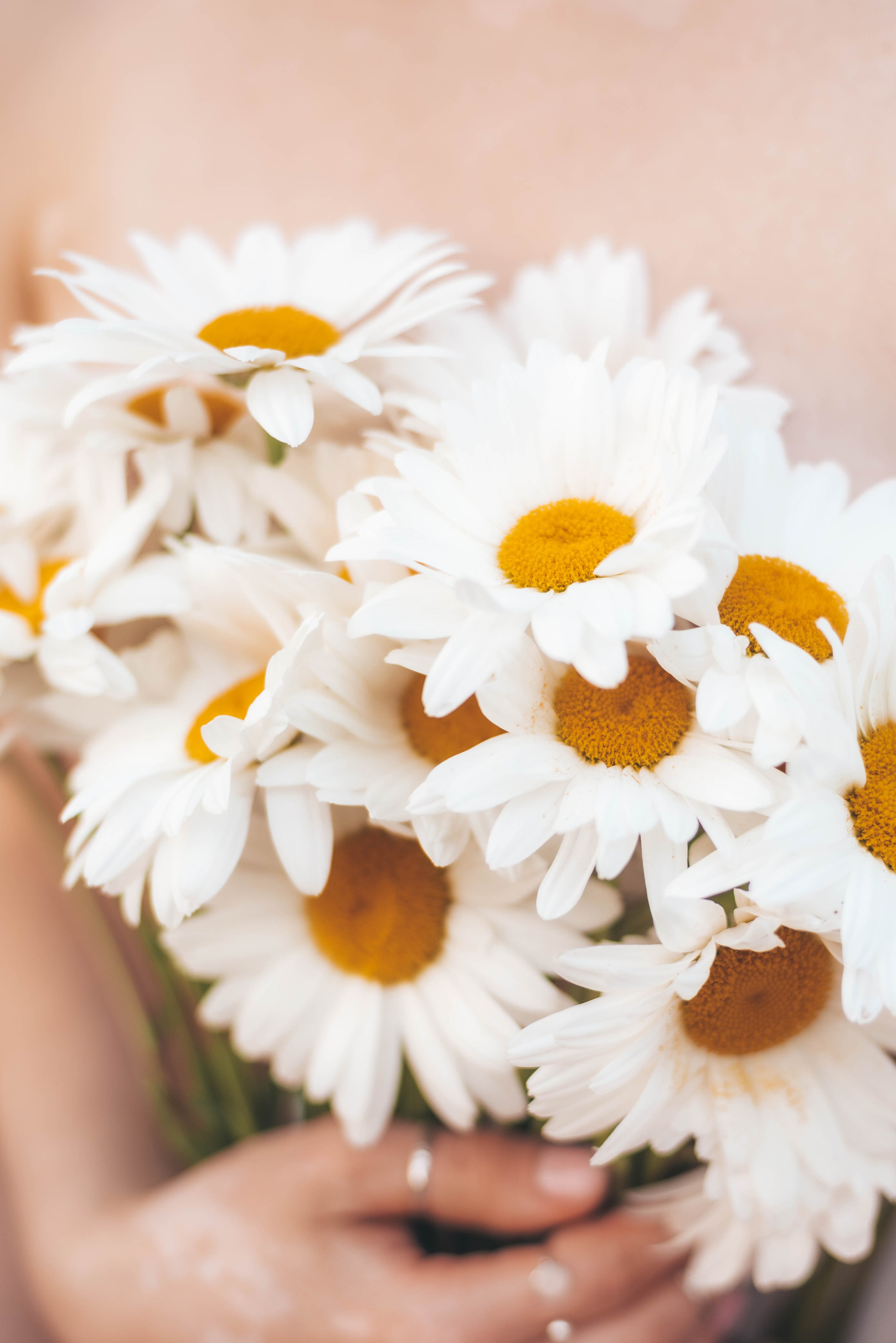 Уличная фотосессия для Ульяны. Фотограф в Санкт-Петербурге Марина Парникова