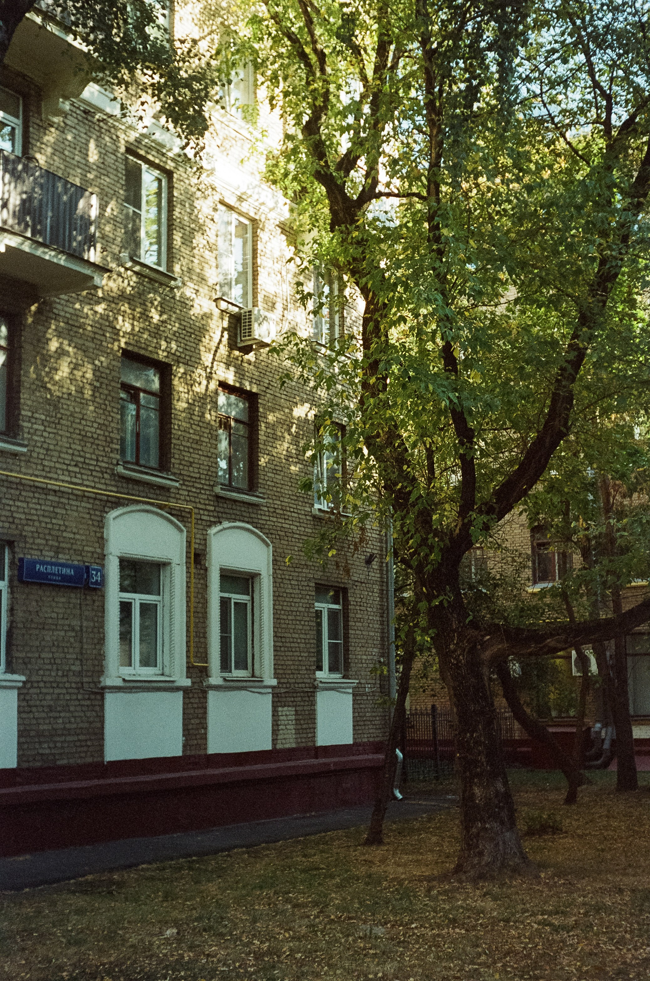 Voigtlander Vitessa / Color-Skopar 50 mm f/3.5 / Kodak Gold 100 (просрочка)