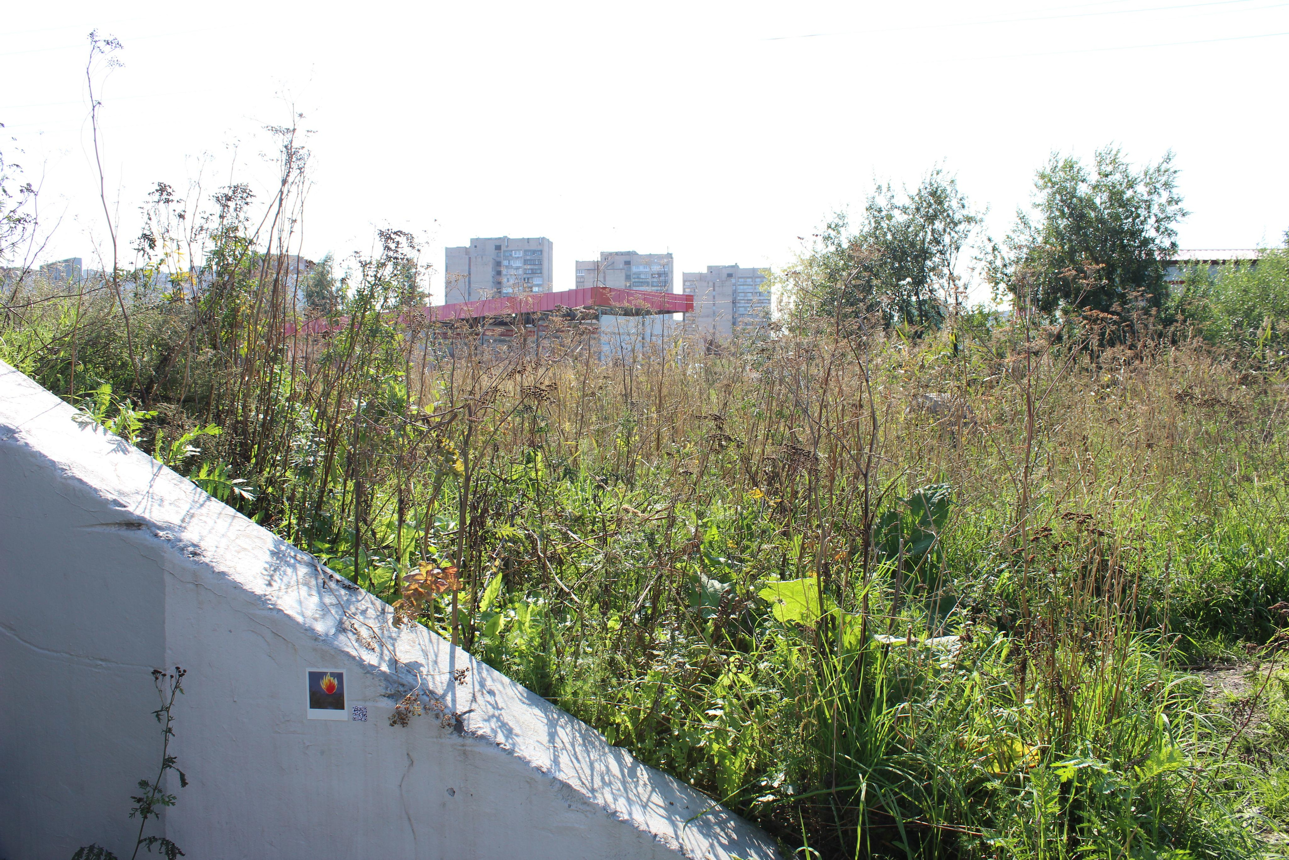 Проект «Гори, гори ясно!»