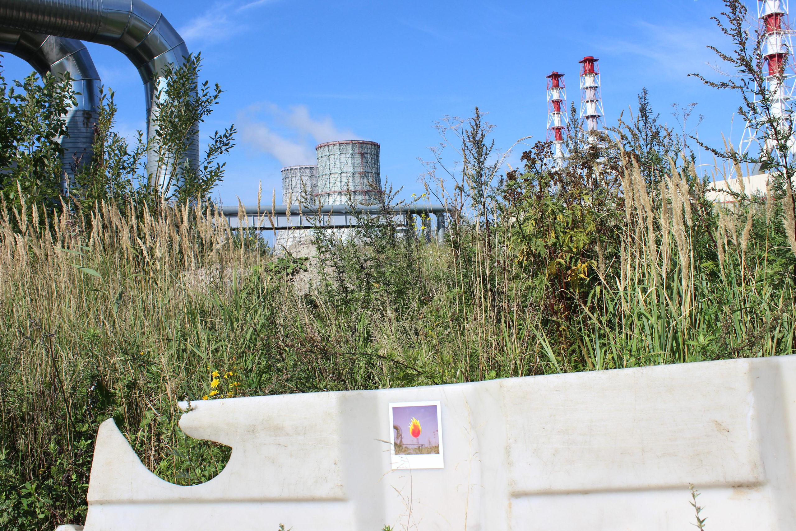 Проект «Гори, гори ясно!»