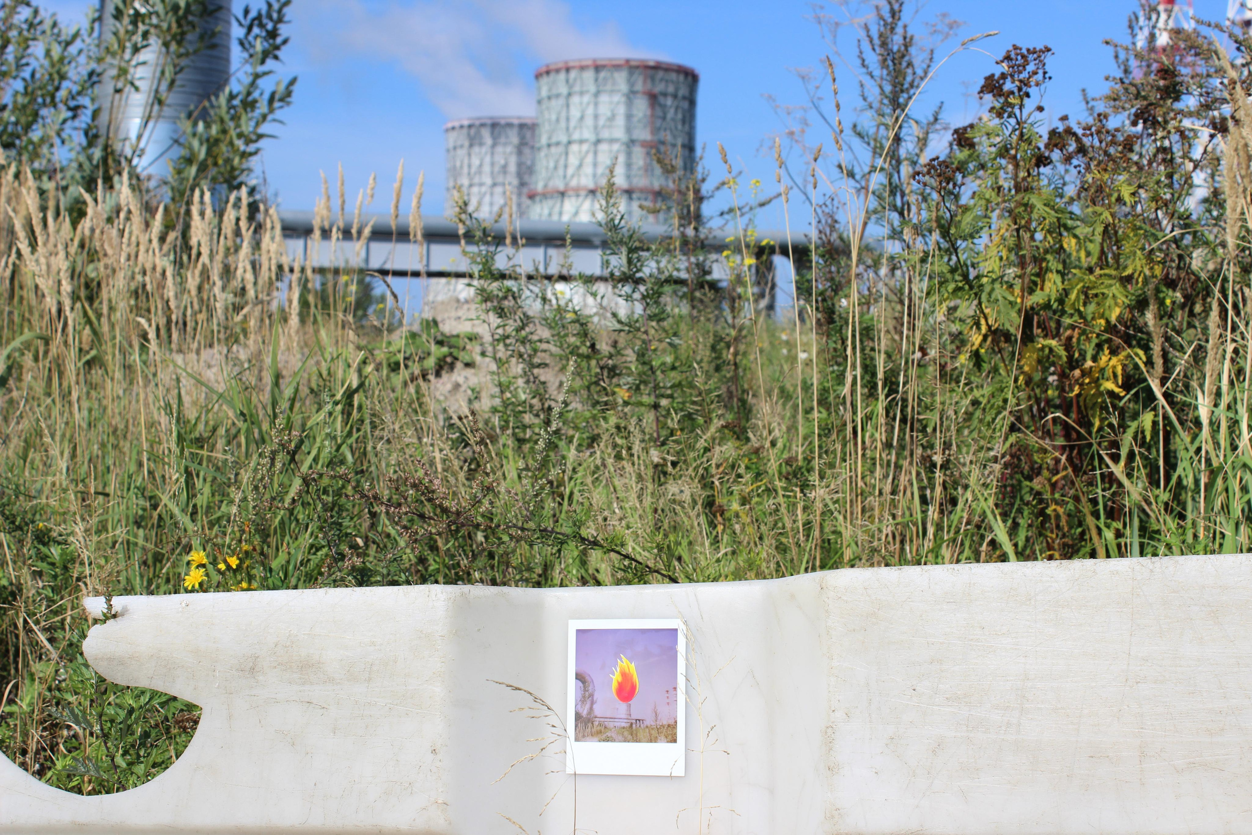 Проект «Гори, гори ясно!»