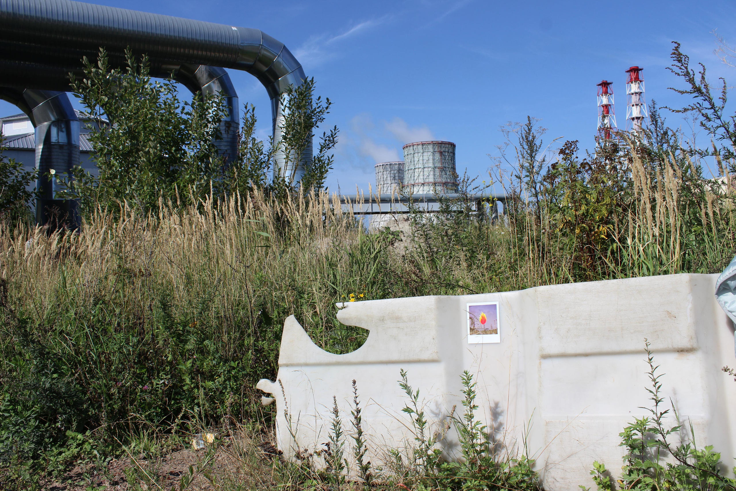 Проект «Гори, гори ясно!»