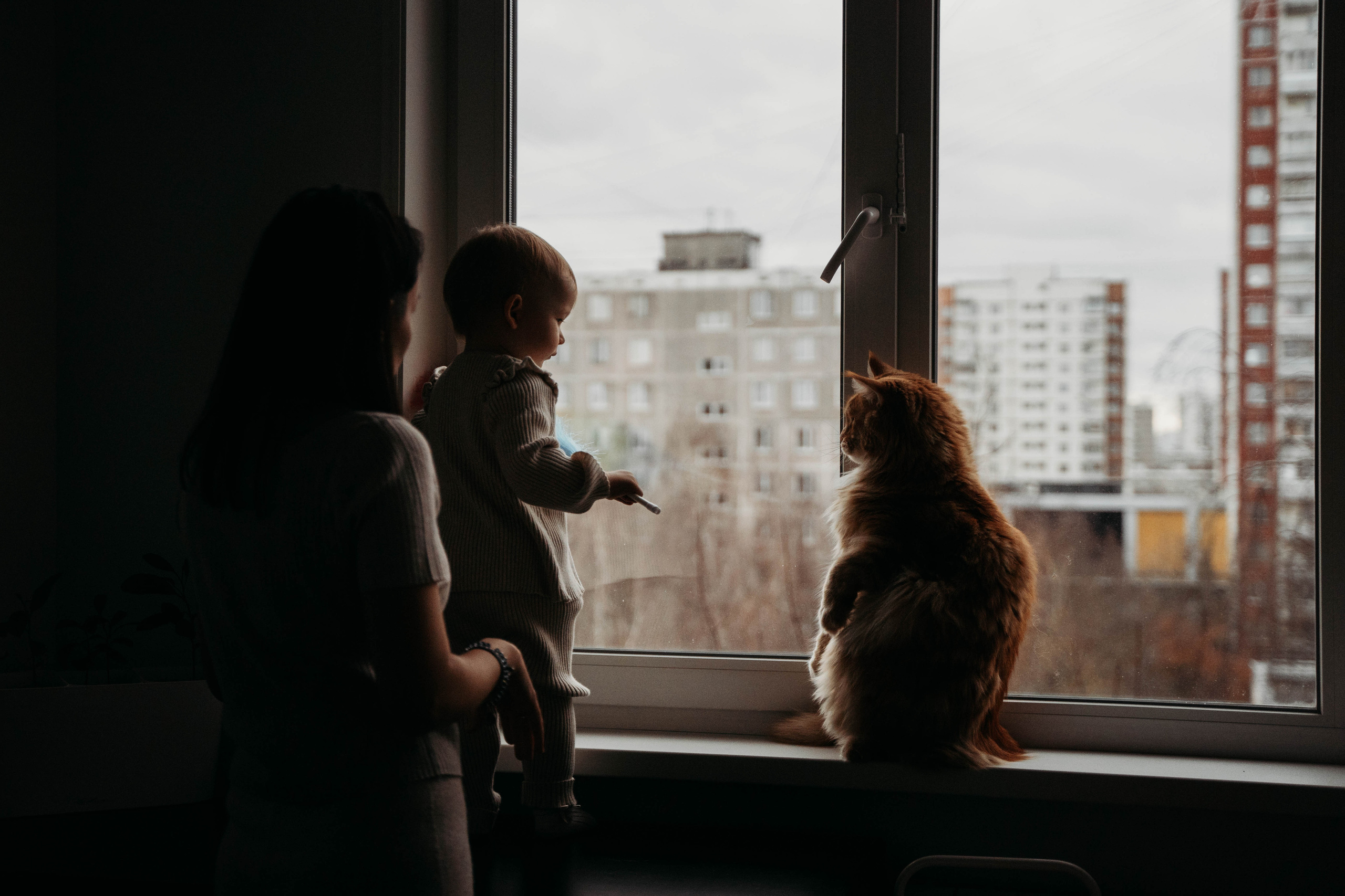 Иннокентий, Алёна, маленькая Эмилия и Царь…просто Царь =). Детский и семейный фотограф в Москве Алёна Шестунова