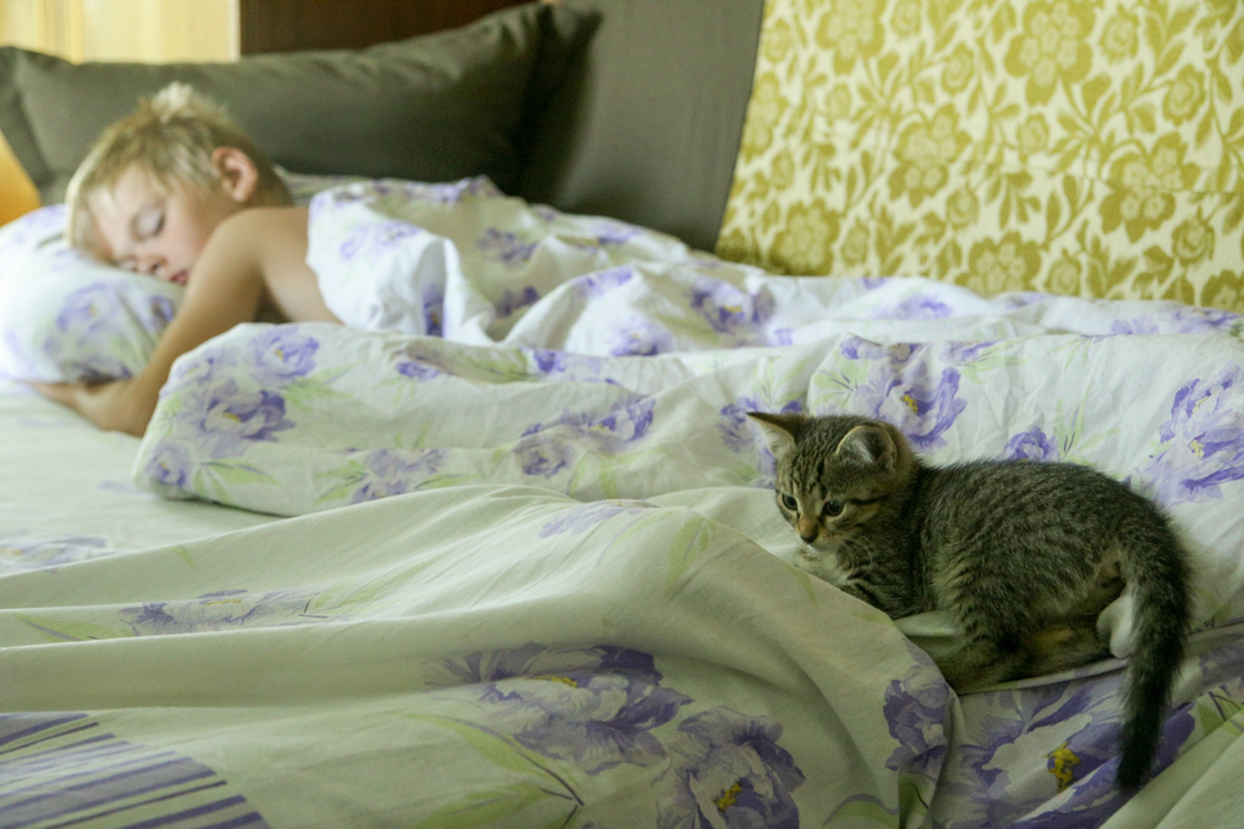 Выставка «Жизнь течет» в Пущино. Фотограф Юлия Близнецова