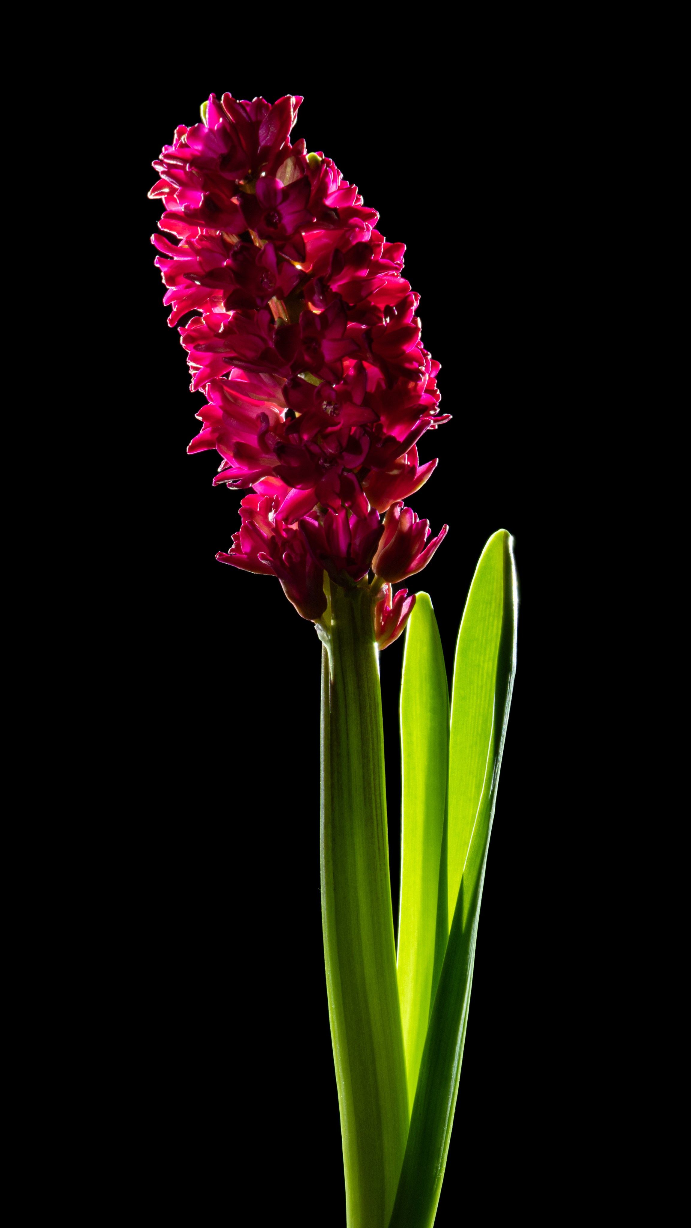 Проекты. Sakunov Photo