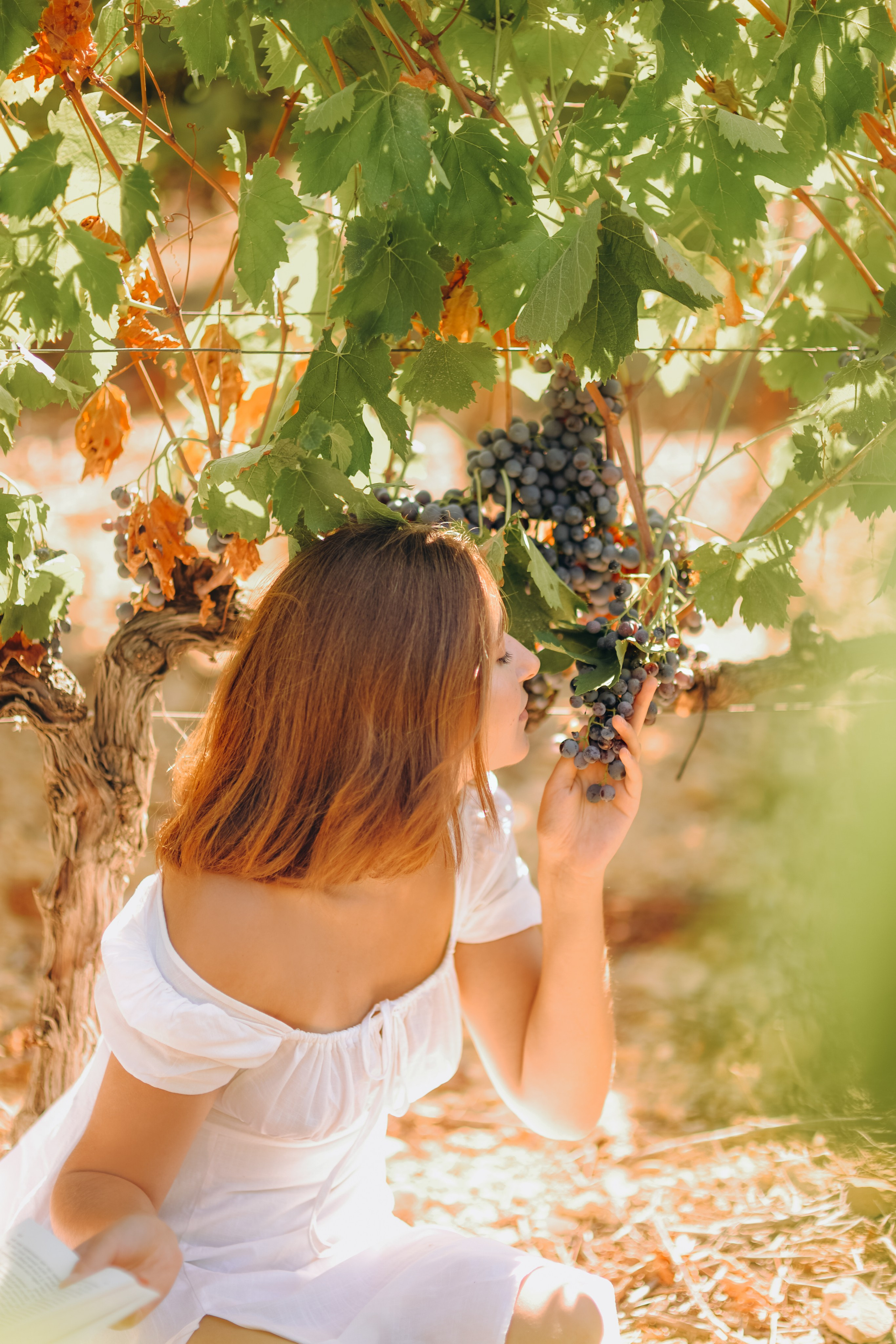 Provence. Photographer in Provence Julia Lipiainen