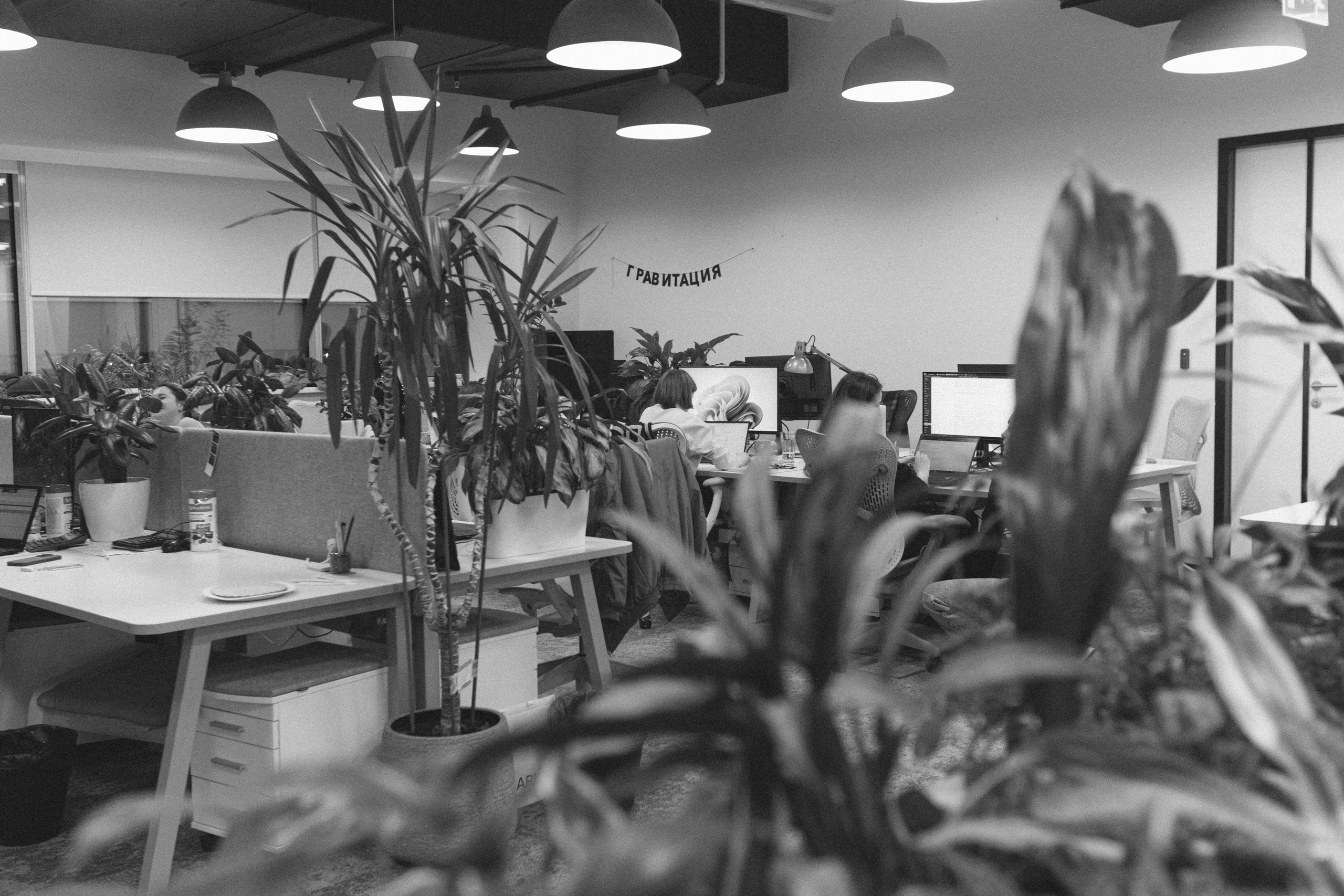 Бренды. Фотограф и коллажист Ольга Шереметьева