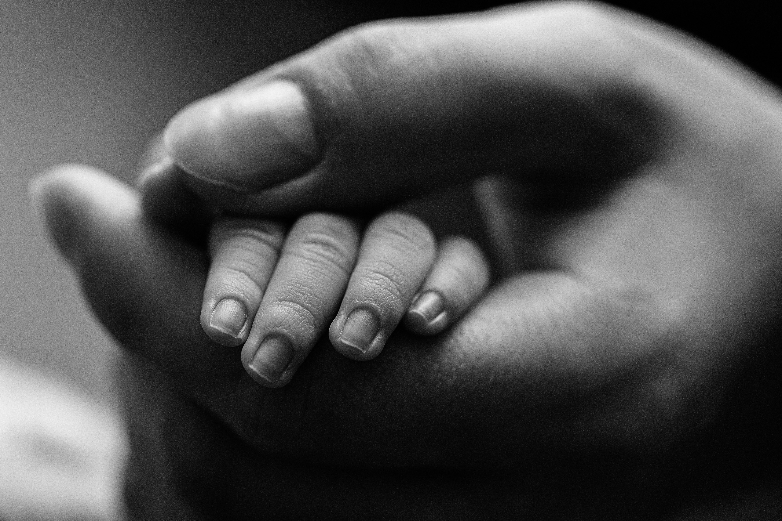 Фотограф новорожденных малышей в Санкт-Петербурге