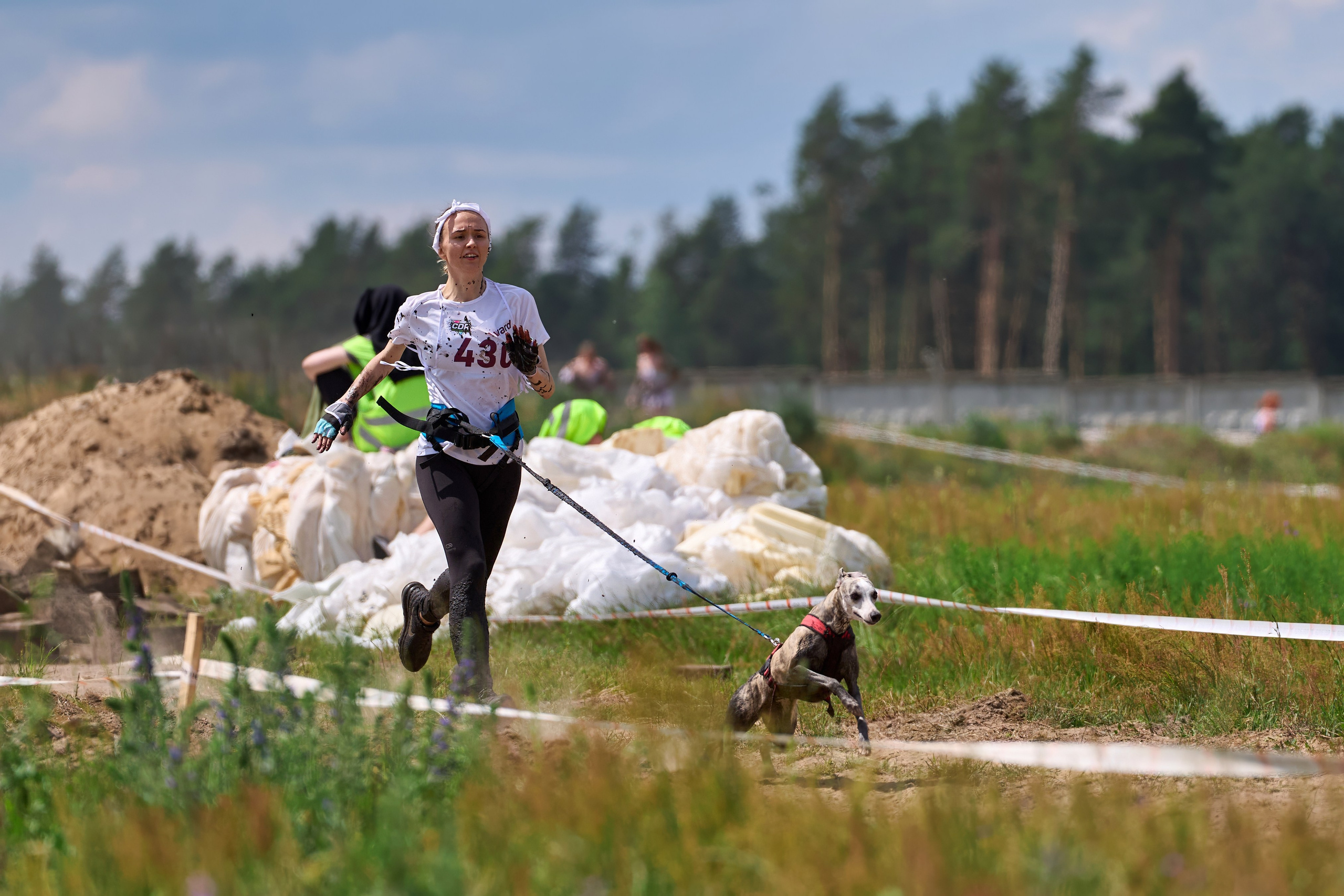 Хвостатый драйв — 2024. Фотограф-анималист Михаил Манухин