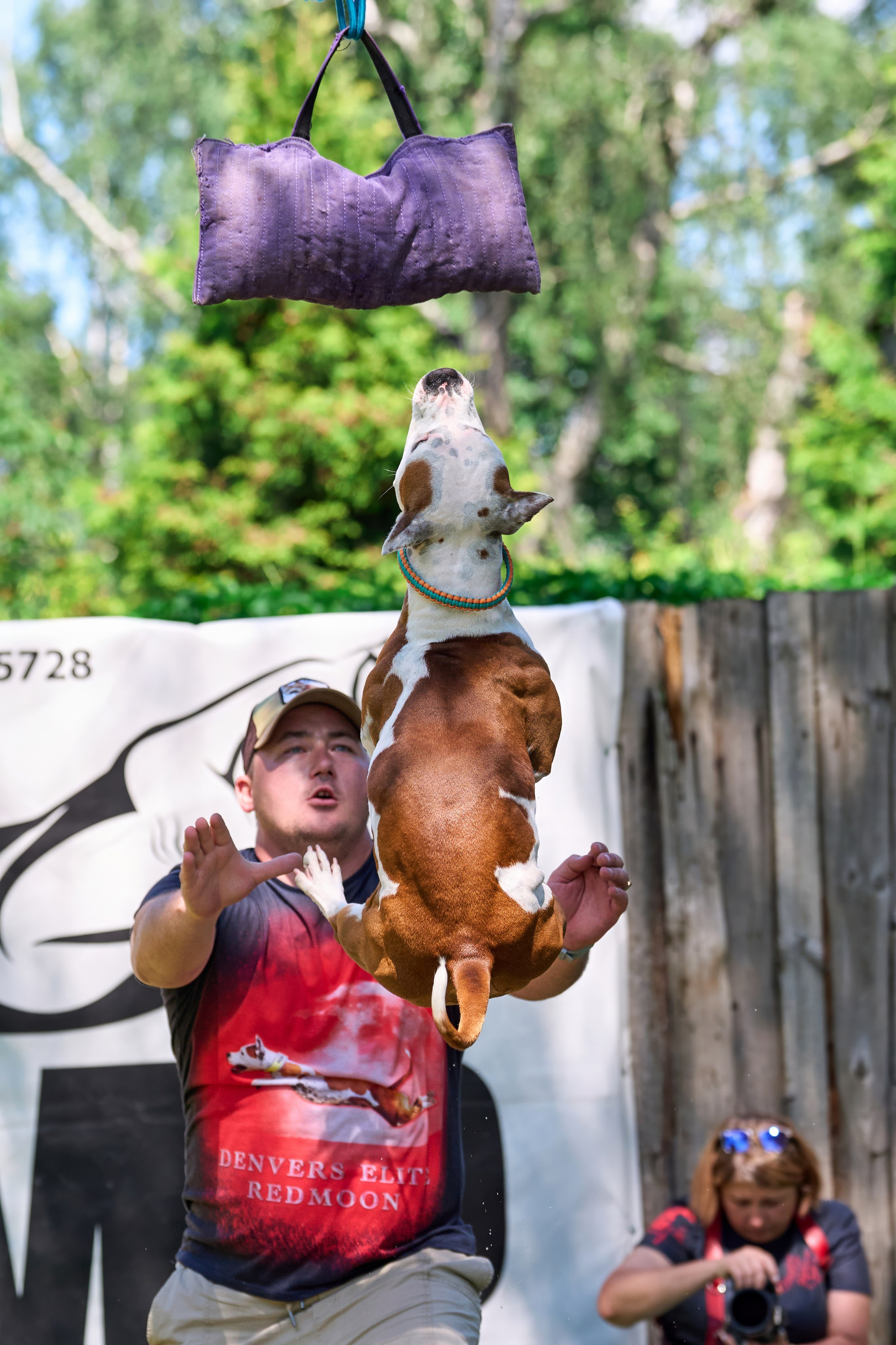 Двухдневные соревнования «Jump'n'Gym Fest — 2024». Фотограф-анималист Михаил Манухин