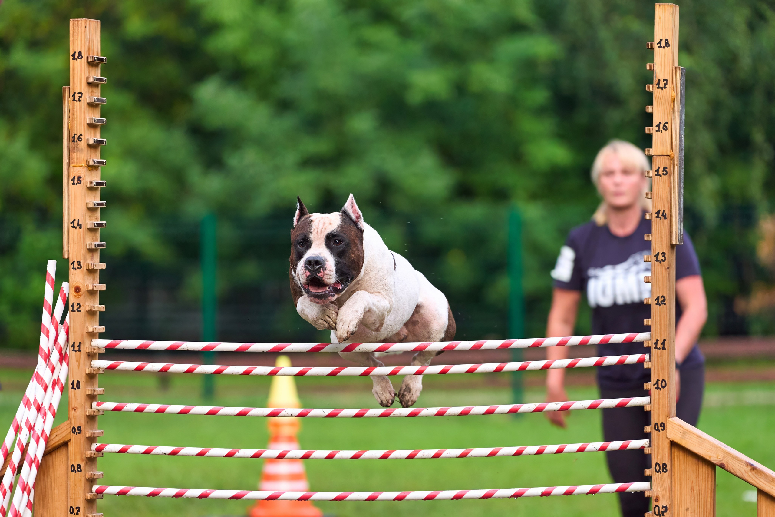 Jump'n'Gym JUMP! — 2024. Фотограф-анималист Михаил Манухин