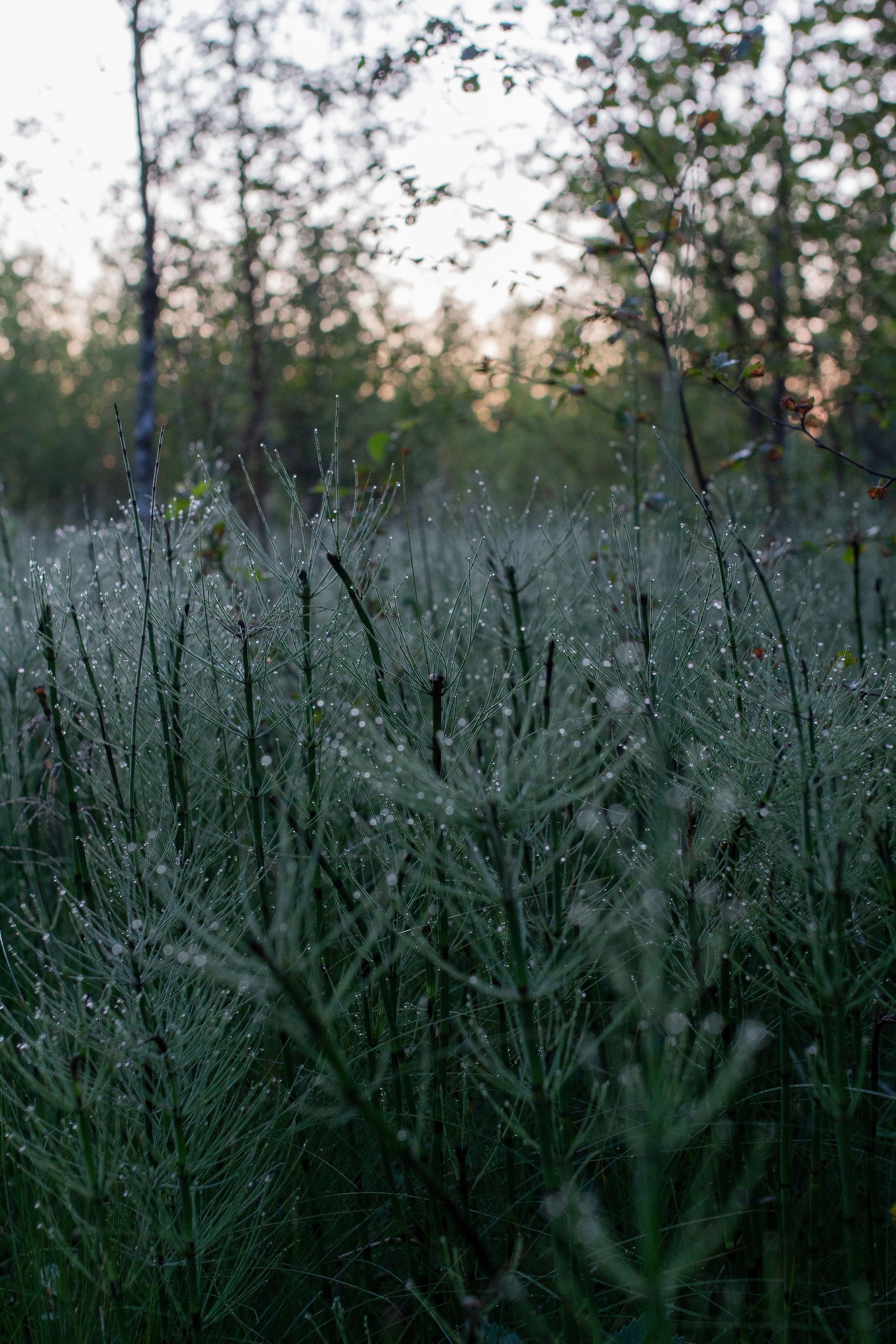 Раковые озера. Ksenzova Veronika photographer