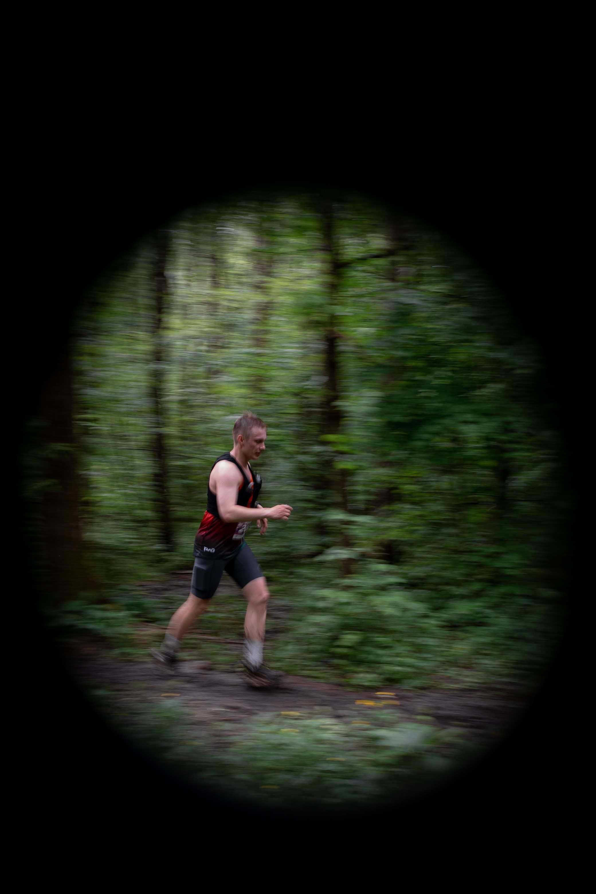 CityTrail Ромашково