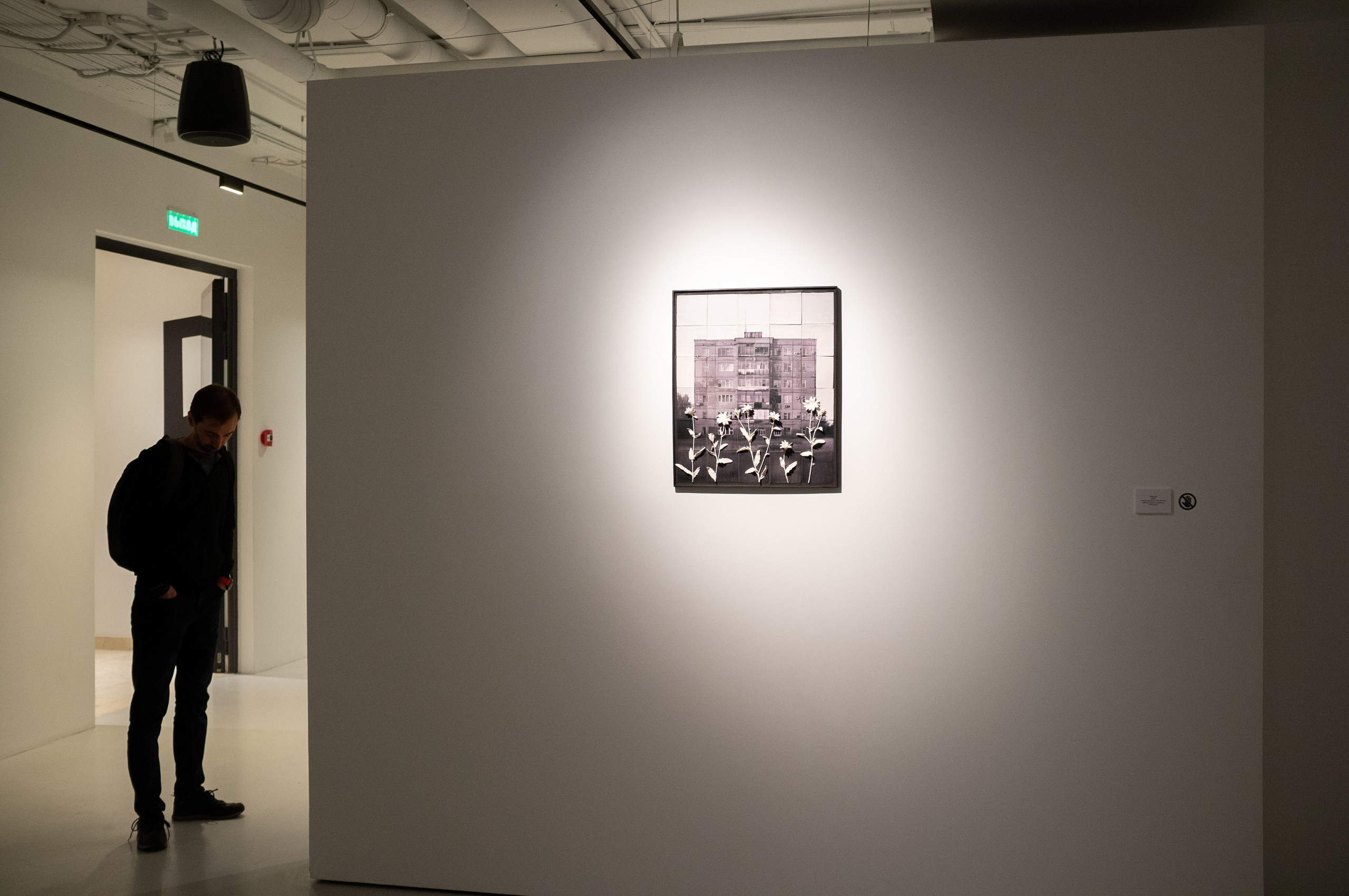 Чересчур. Феномен китча в российском искусстве. Искусство фотографии. Мария Осокина