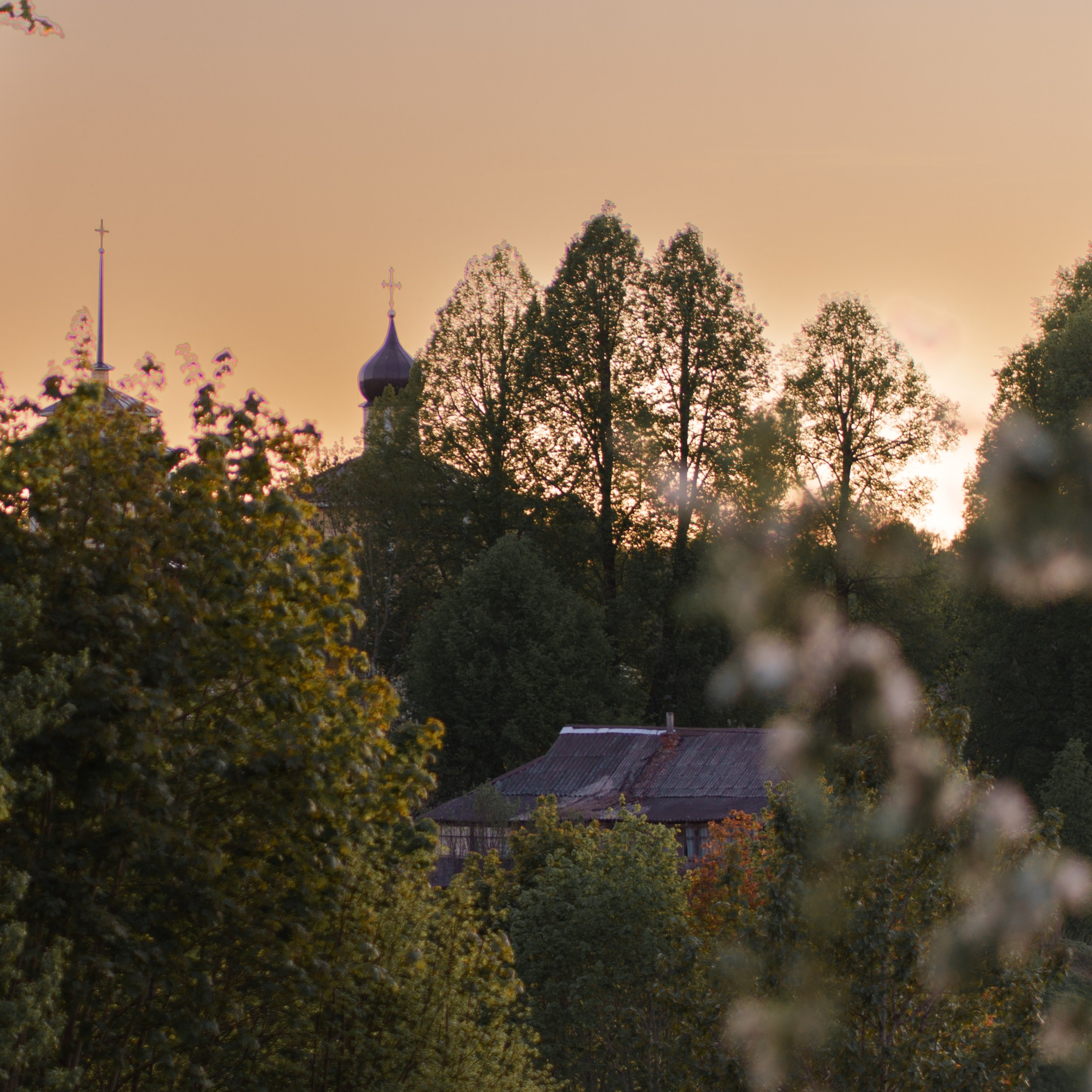 Landscape with the mill of the Pushkin Museum-Reserve in MikhailovskyA flock of swans over the Sorot River