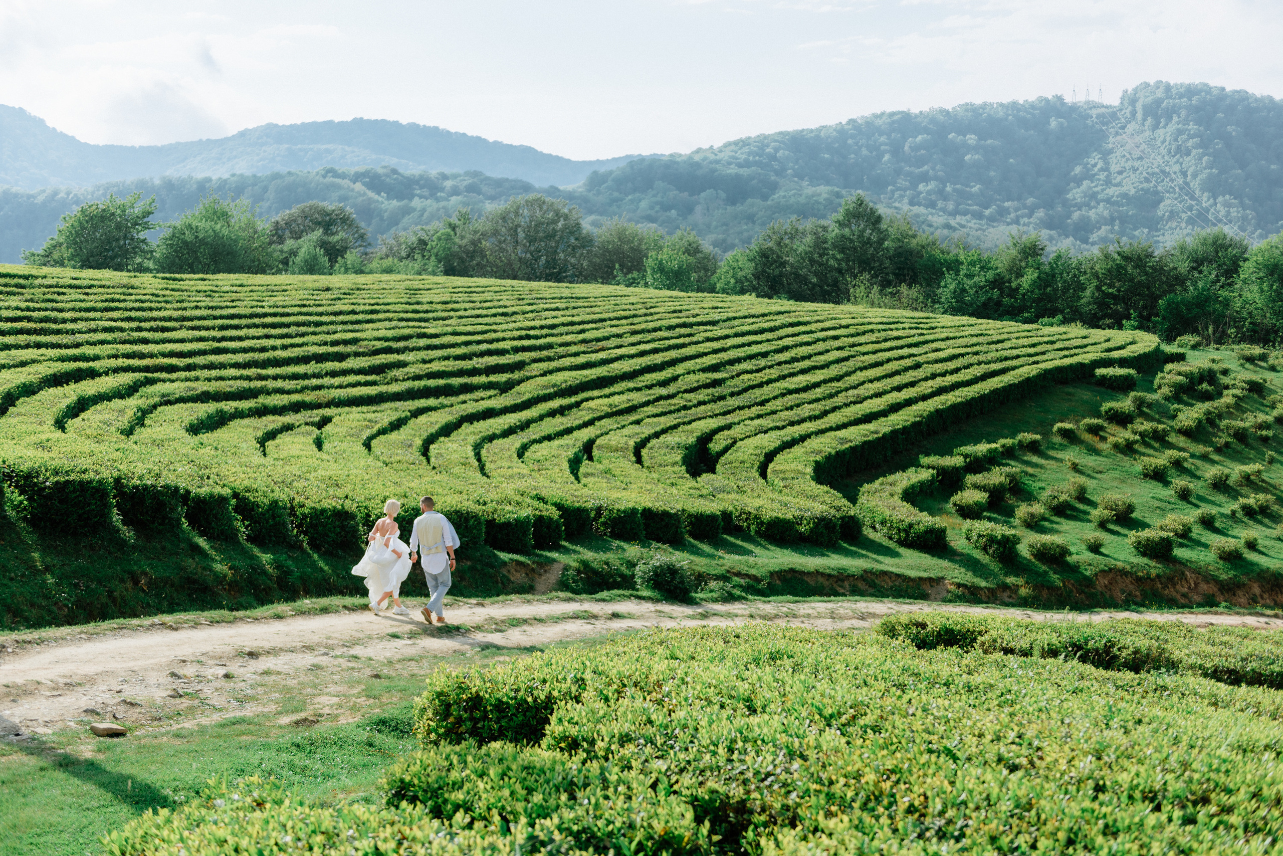 Wedding photoshoot on tea plantations. Fedor Lemeshko — Destination Wedding and Family Lifestyle photographer