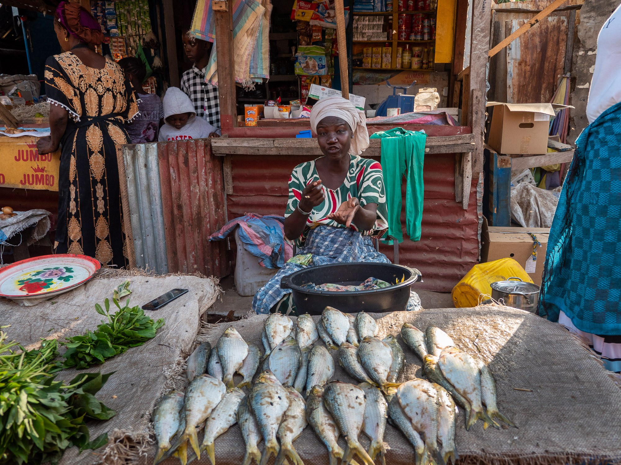 Путешествие по Гамбии (Западная Африка).Traveling in Gambia (West Africa.). Фотограф Алексей Скоробогатько