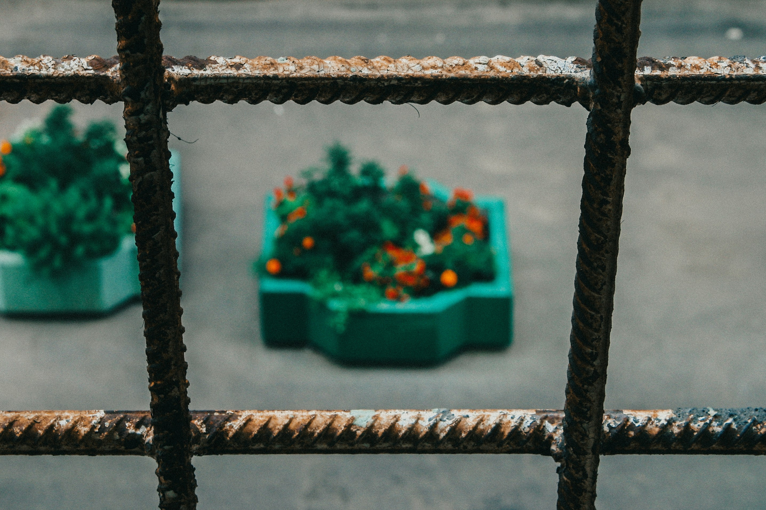 Снимки из прошлого. Фотограф в Москве, Георгий Бучукури