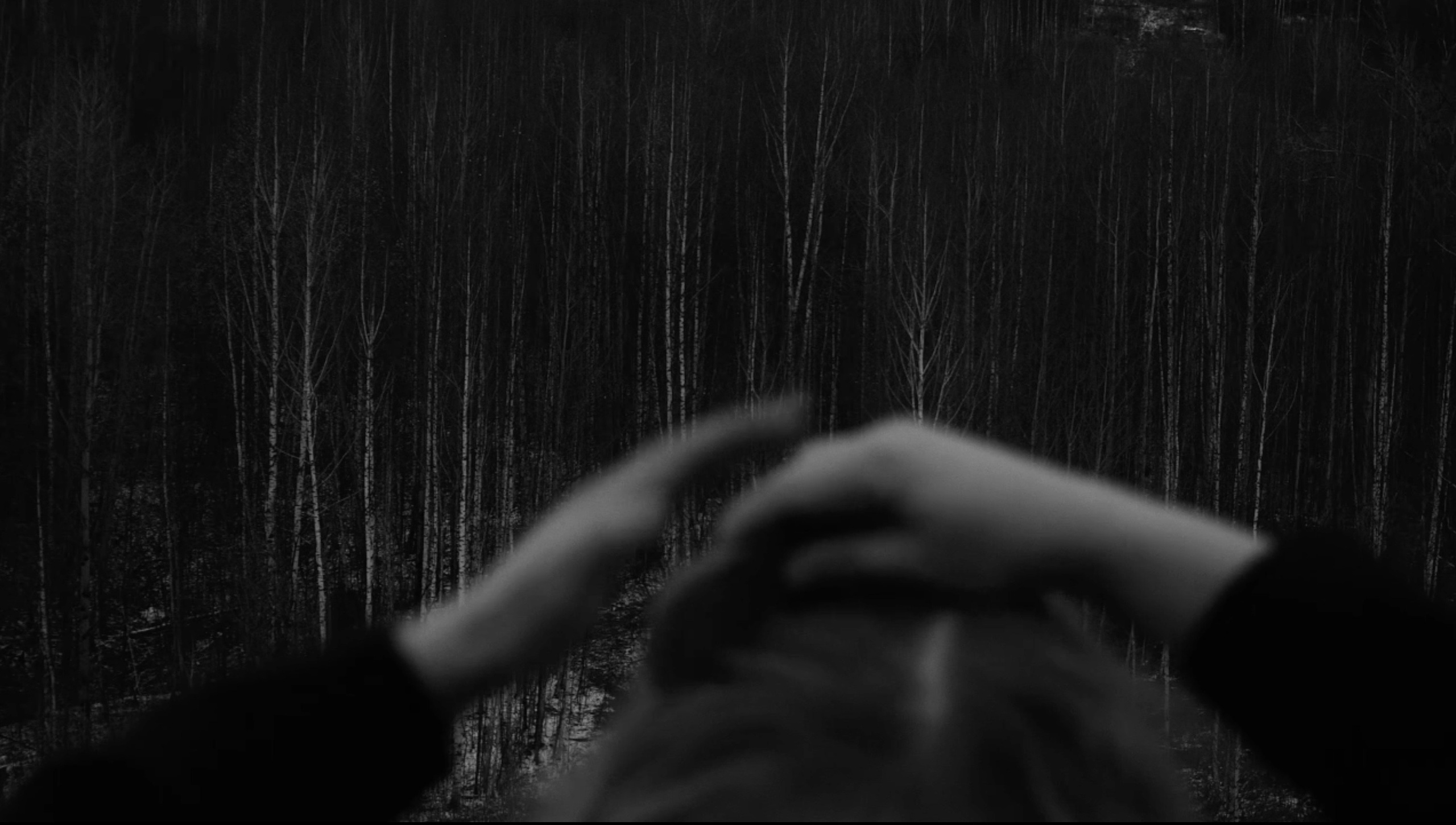 Нежные бабы. Что мне делать, чтобы земля оставалась на месте. Художественная группа «Нежные Бабы»