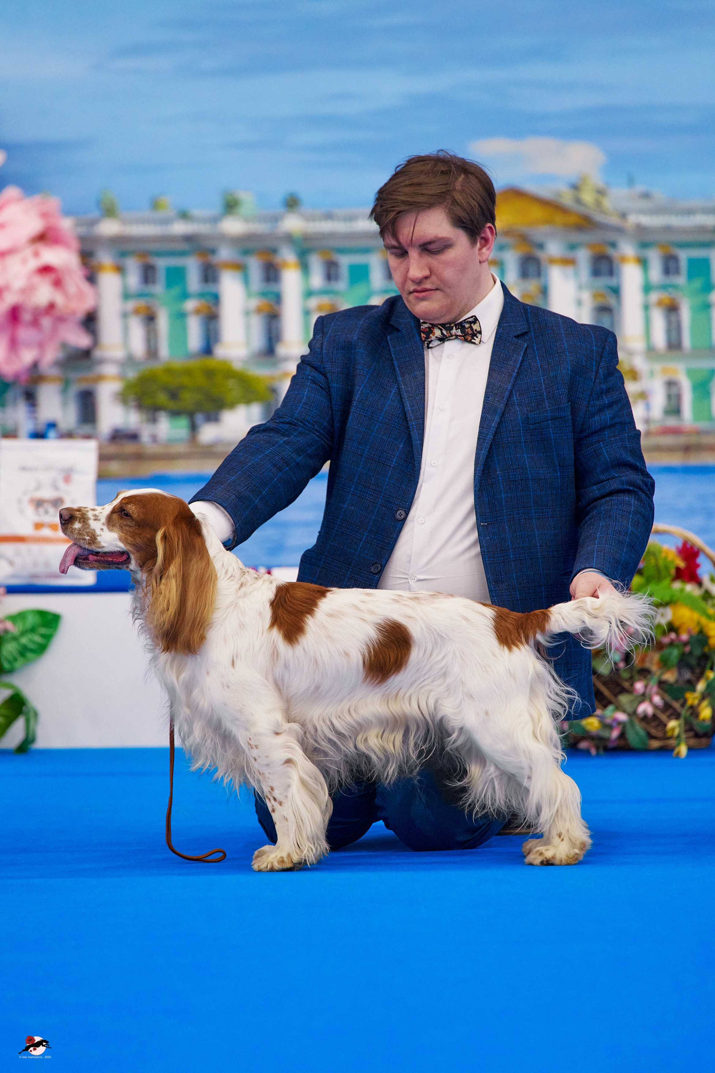 ГРАН ПРИ «ВЕСЕННИЙ ПЕТЕРБУРГ» & «СУПЕР КУБОК «ЭЛИТЫ»-2025»