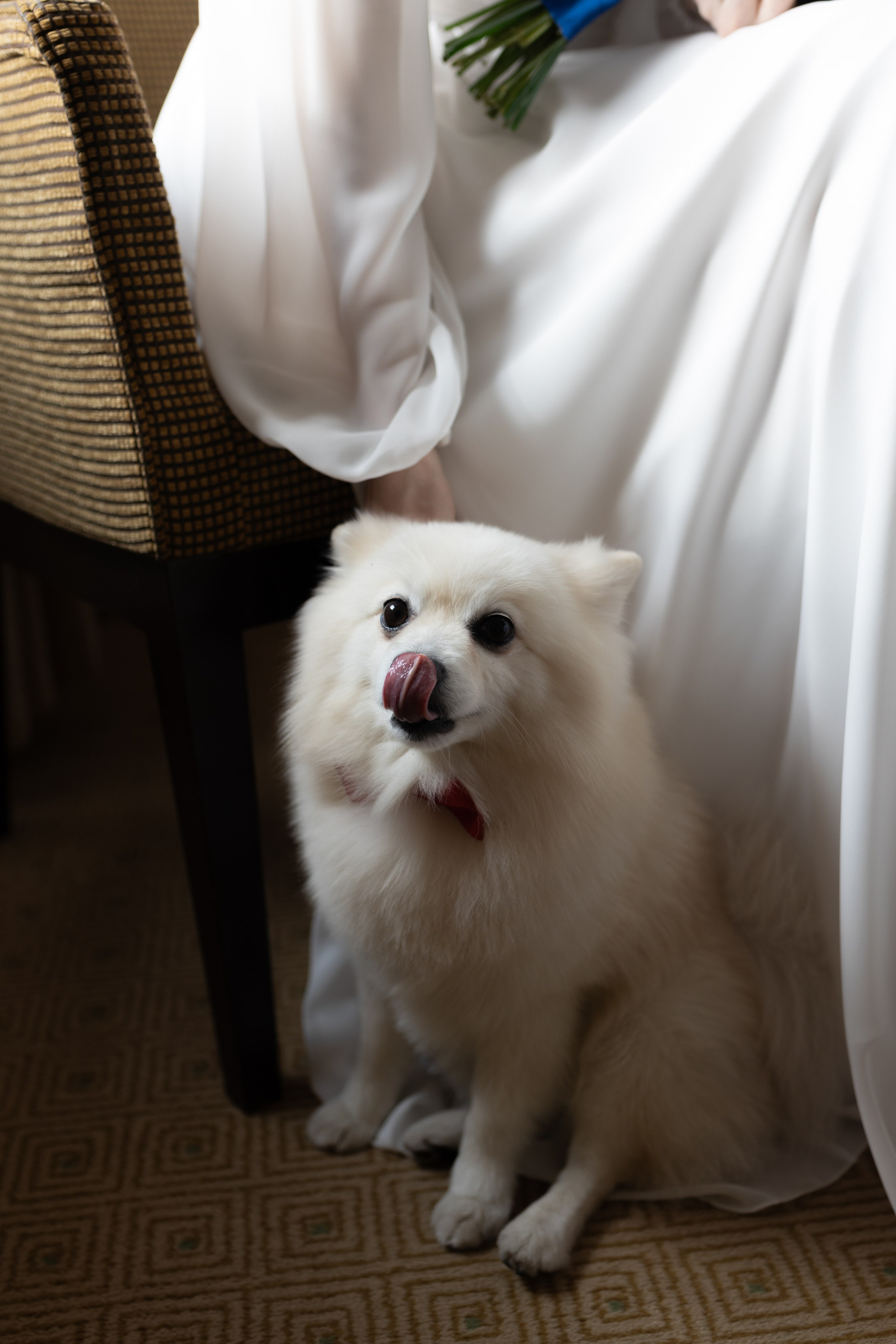 Свадебный фотограф | Москва