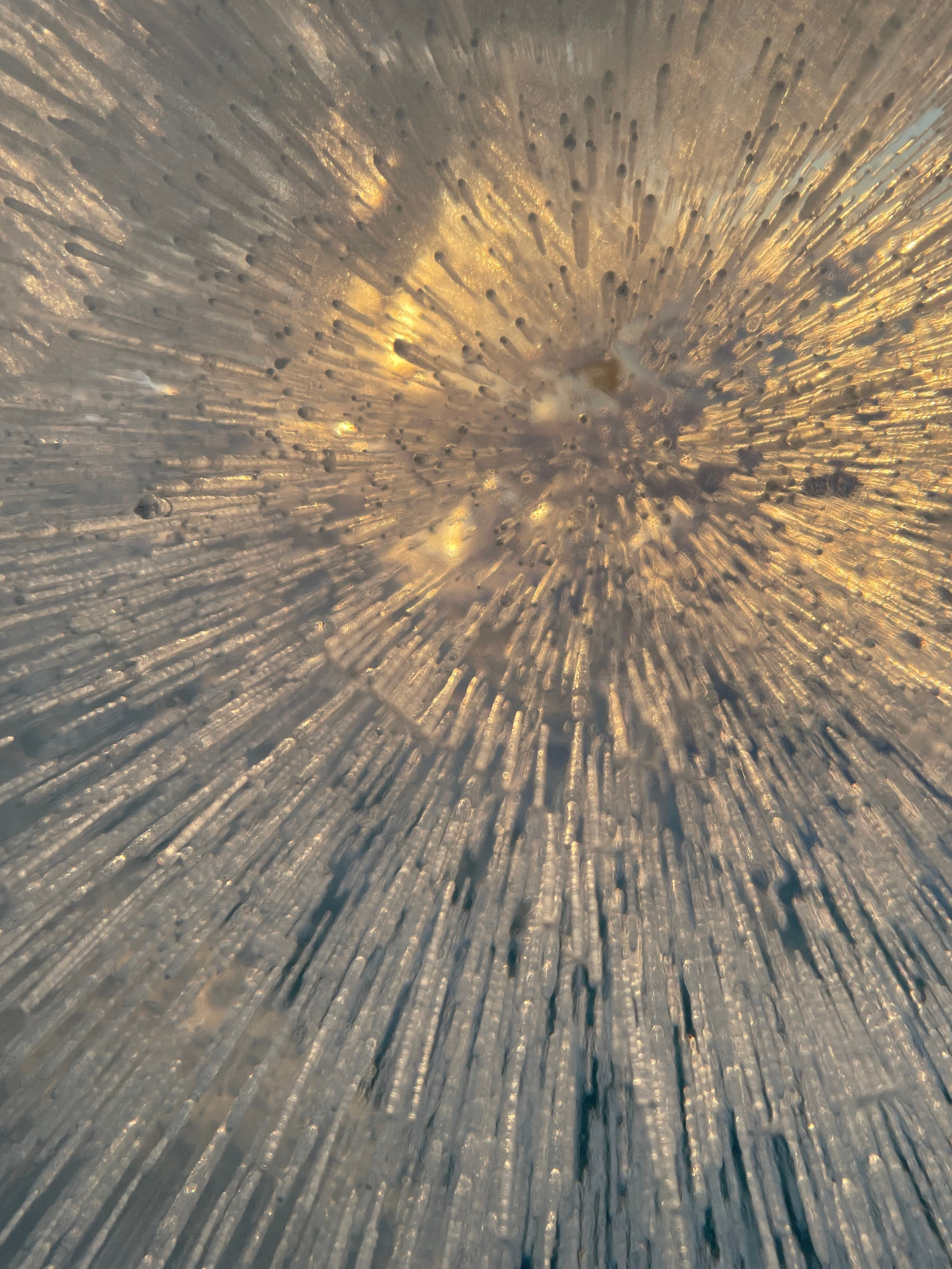 Обучающий фототур на зимний Байкал с Еленой Михайловой. 07–12 февраля 2025 г. Детский и семейный фотограф Елена Михайлова в Москве