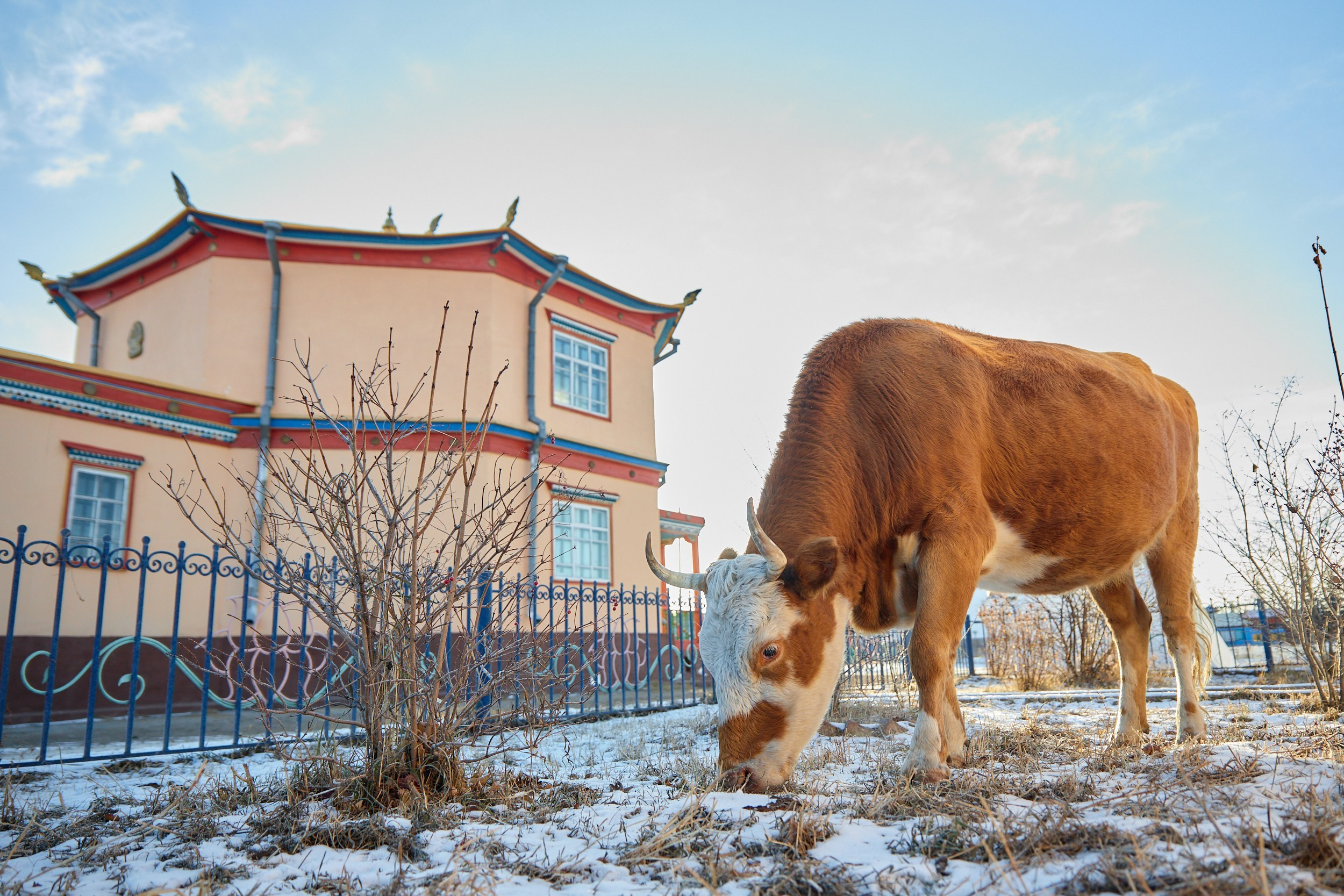 Репортажный фотограф Владивосток Анастасия Сокольникова