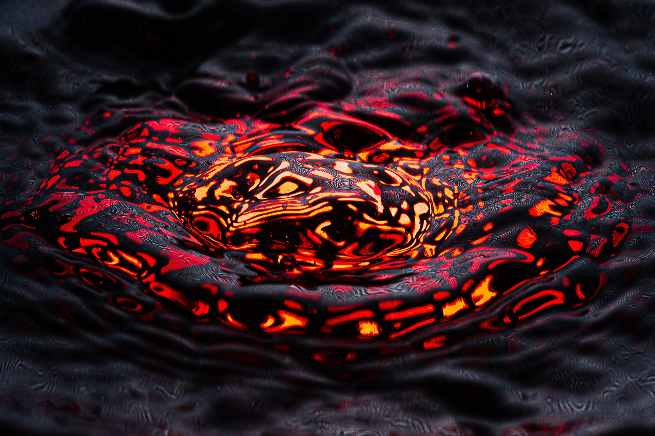 Скульптуры из воды Сергея Толмачева