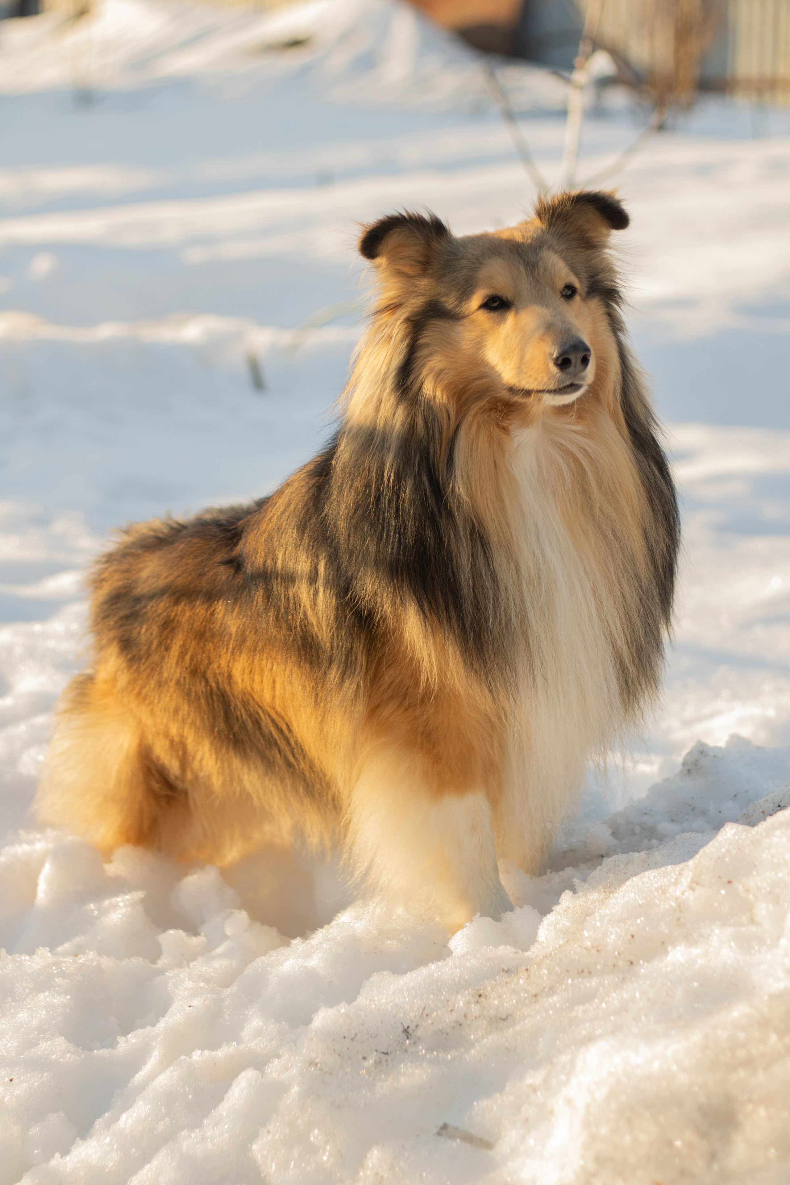 Катя Попова|ЛайфСтайл фотограф