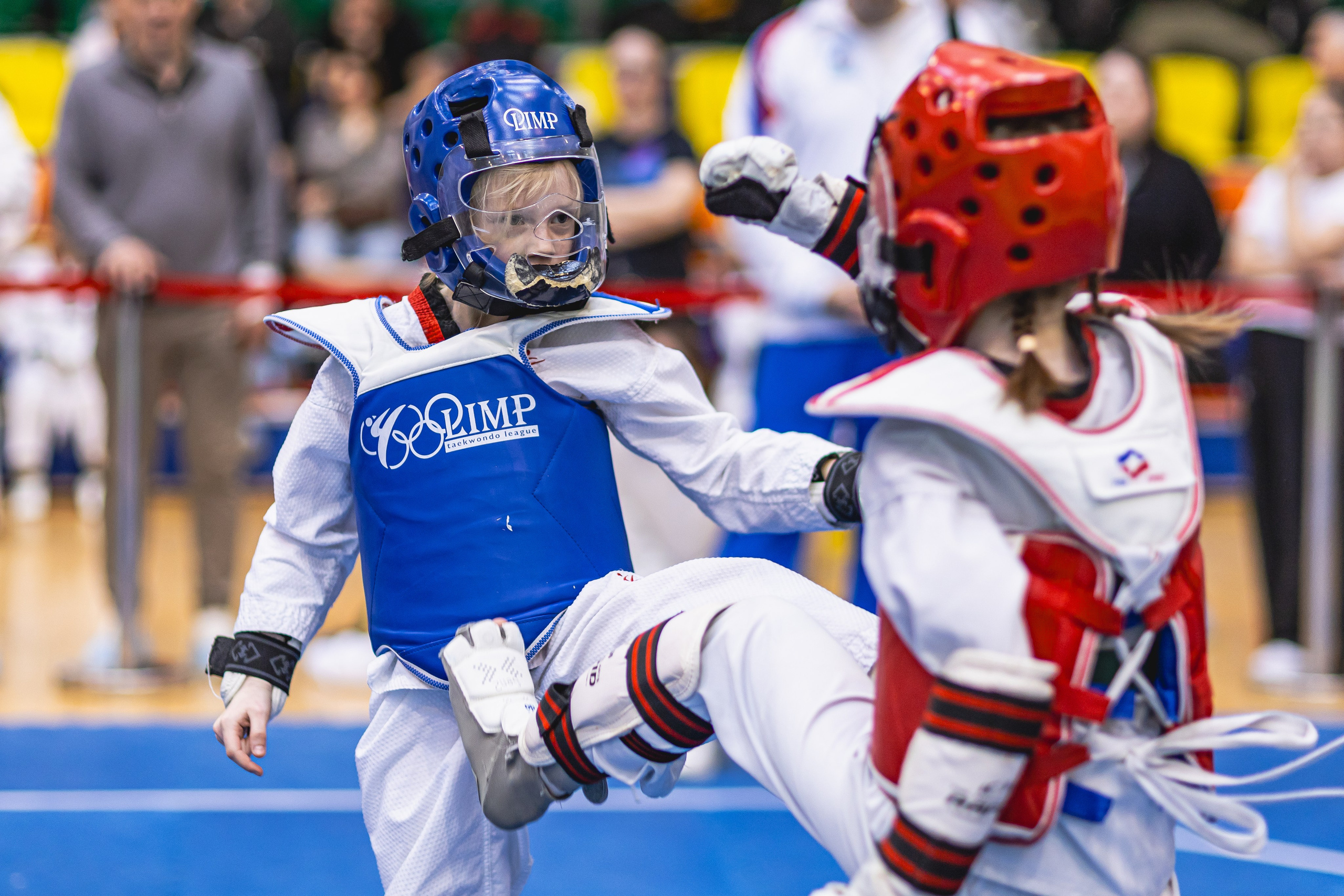 Турнир ВДЮФСОО «ФЕДЕРАЦИЯ ДЕТСКОГО ТХЭКВОНДО РОССИИ» и МОО СПКЕ «ЭРИДАН» по «СПОРТИВНОМУ БОЮ КЕРУГИ». Спортивный фотограф Максим Серегин