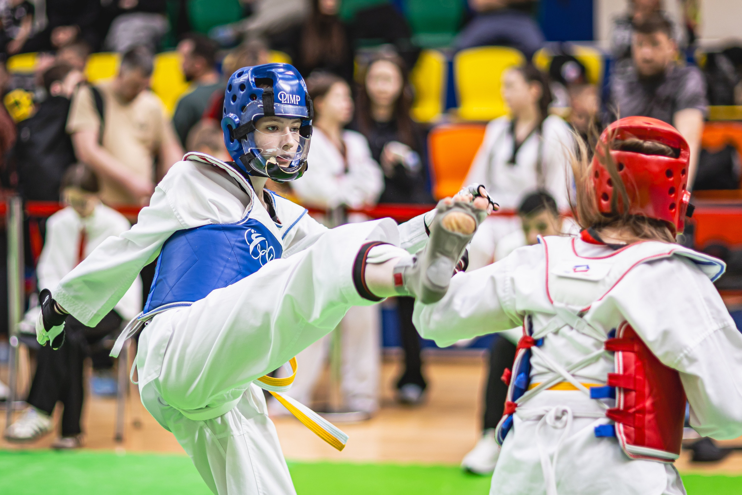Турнир ВДЮФСОО «ФЕДЕРАЦИЯ ДЕТСКОГО ТХЭКВОНДО РОССИИ» и МОО СПКЕ «ЭРИДАН» по «СПОРТИВНОМУ БОЮ КЕРУГИ». Спортивный фотограф Максим Серегин