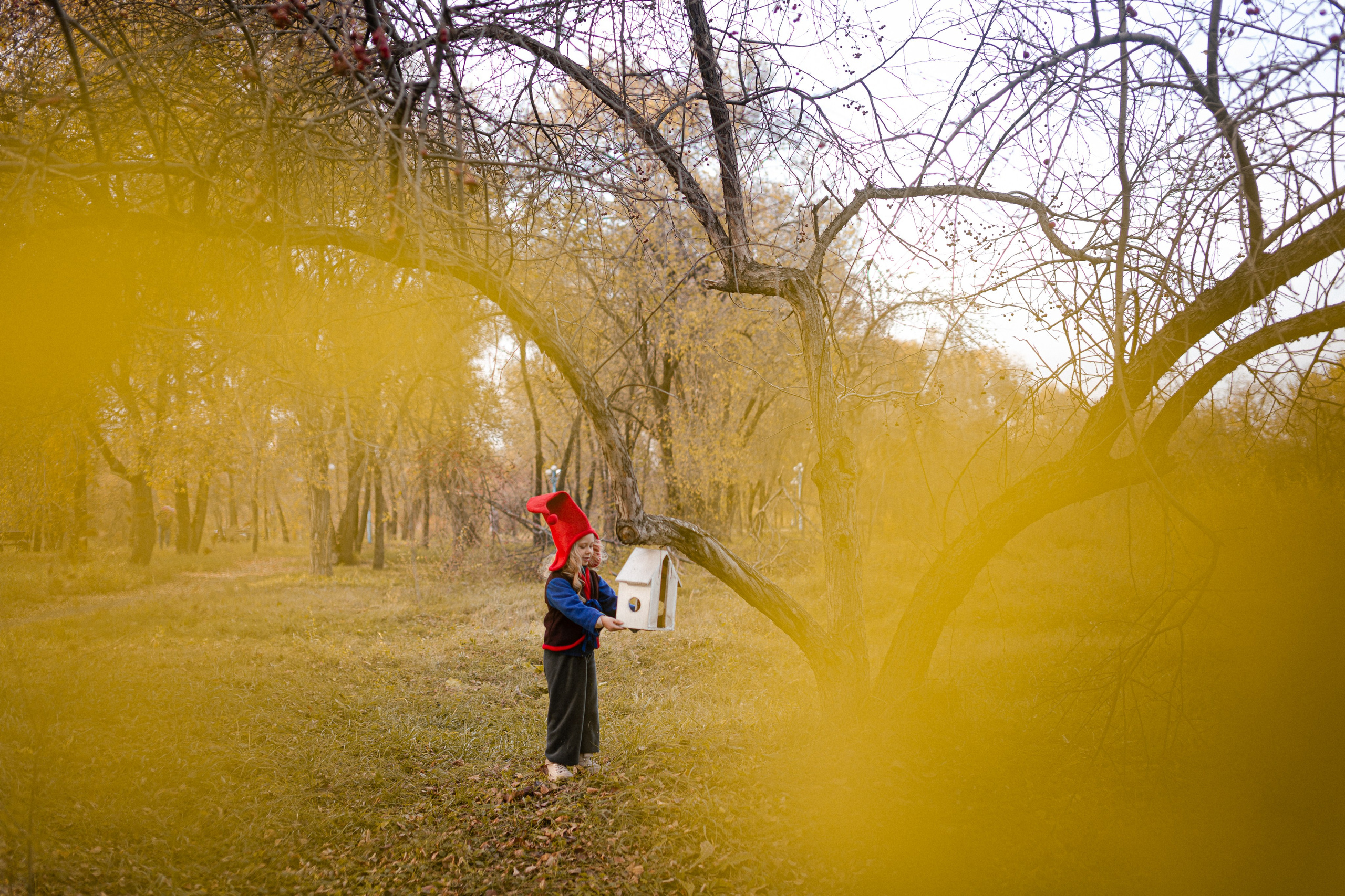 Лесные гномы