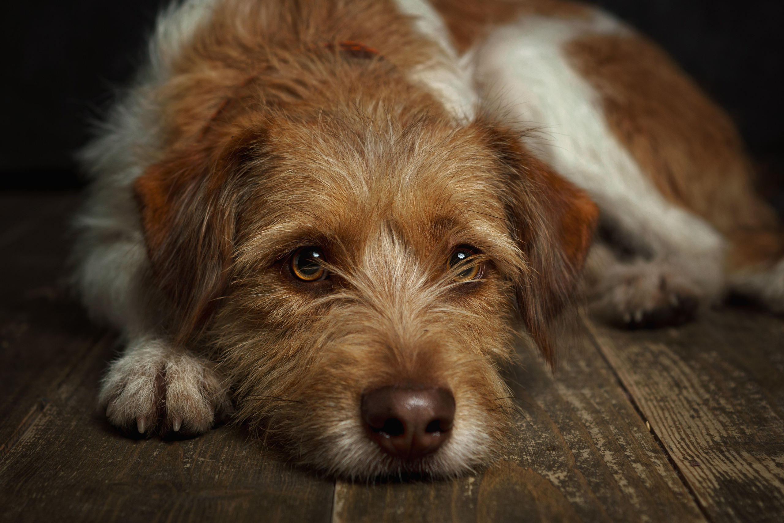ДРУГ, НАЙДИСЬ. Антон Тимошевский, профессиональный портретный фотограф в Москве и Орле
