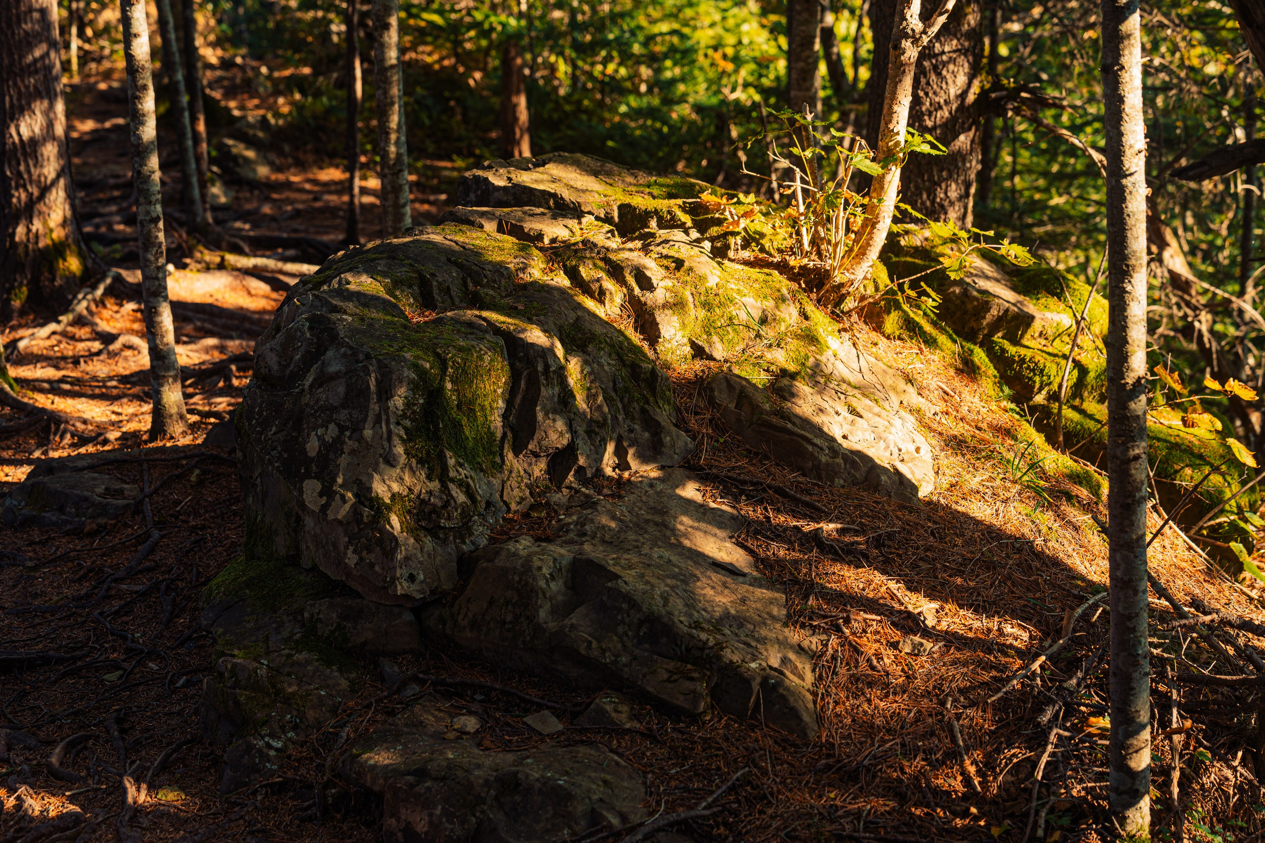 Гора Литовка (Фалаза). Иван Зайцев (IZIART) — создание культурного кода через фото и видео