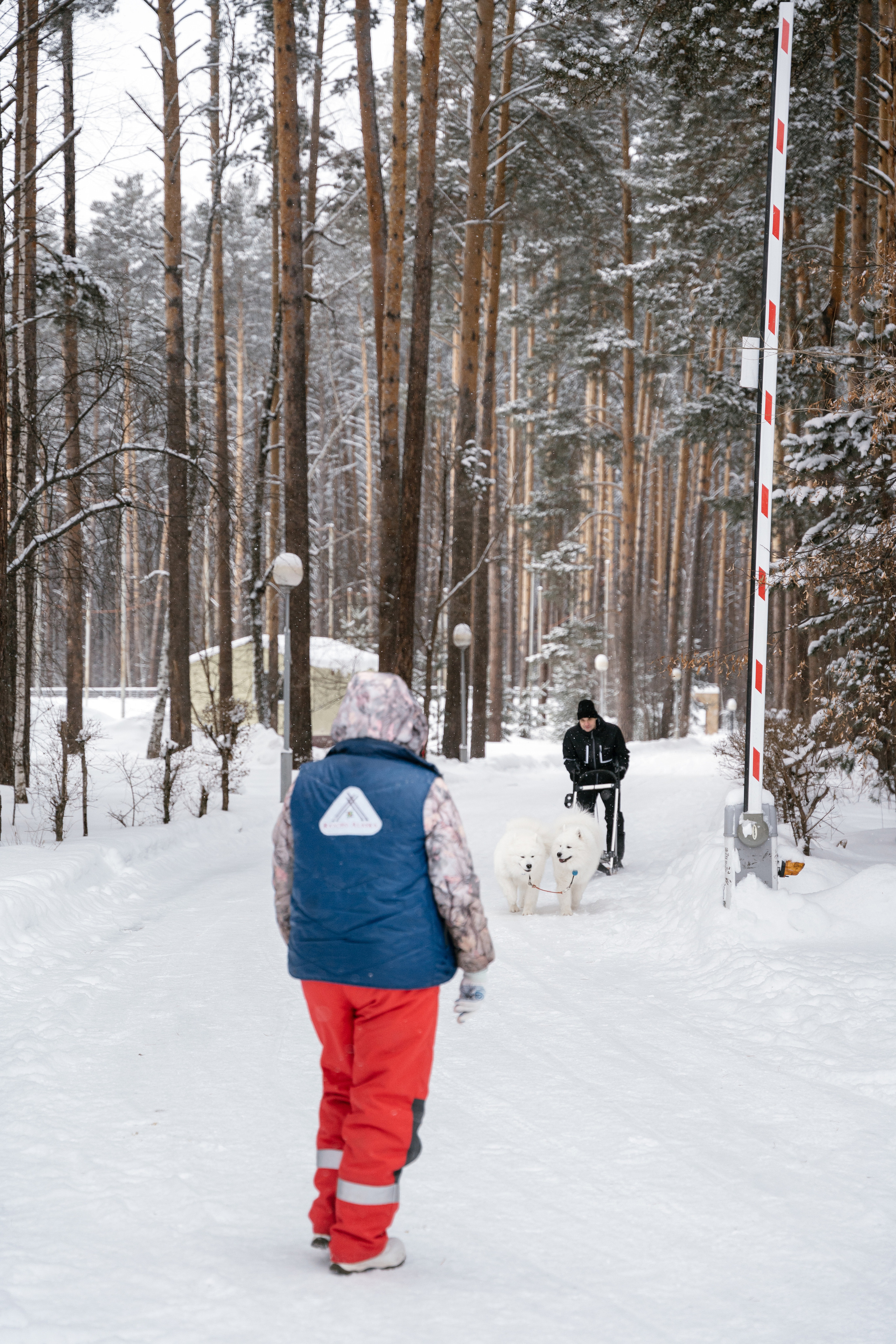 10.12.2021. Фотограф Томск, Новосибирск Влад Свириденко