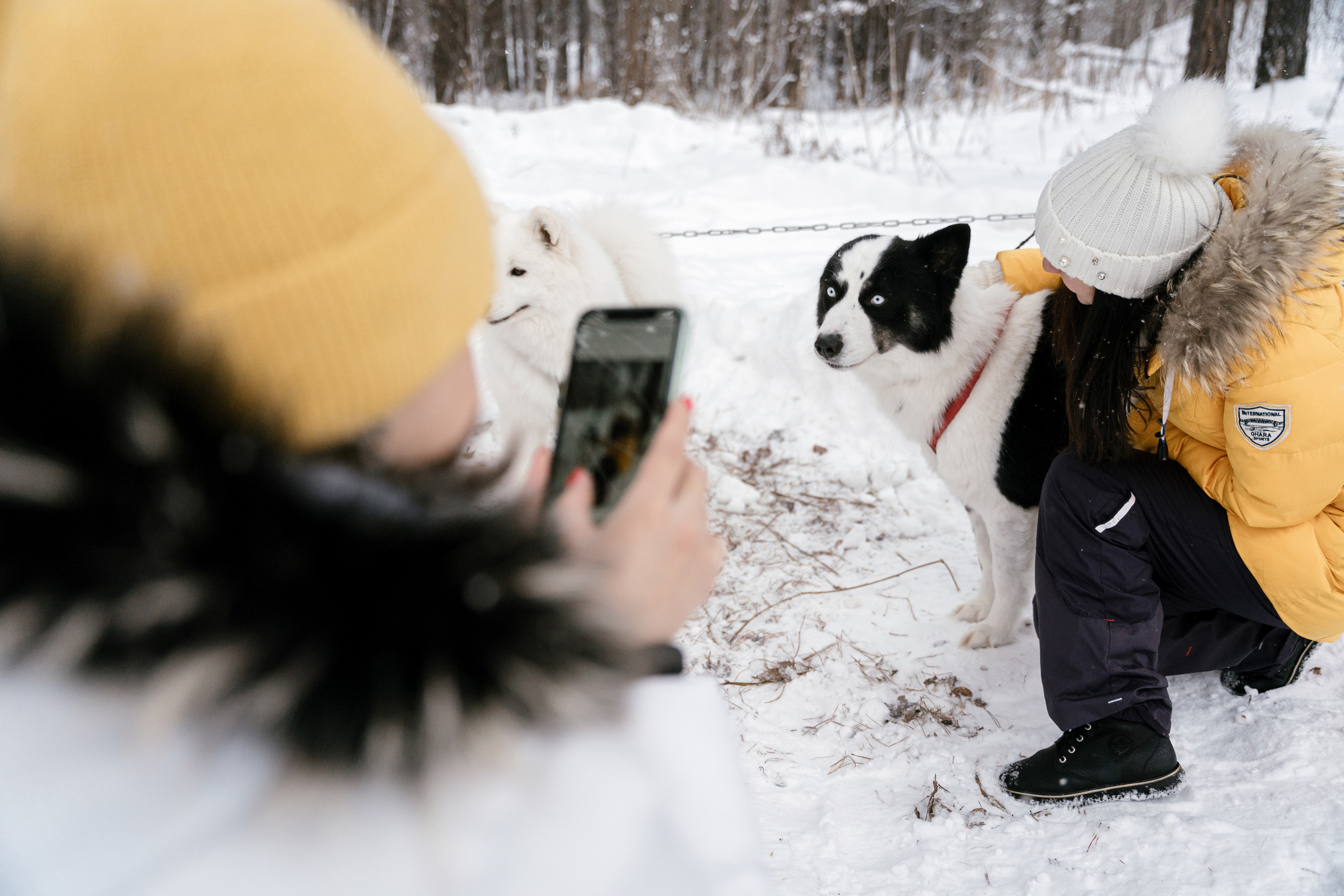 10.12.2021. Фотограф Томск, Новосибирск Влад Свириденко
