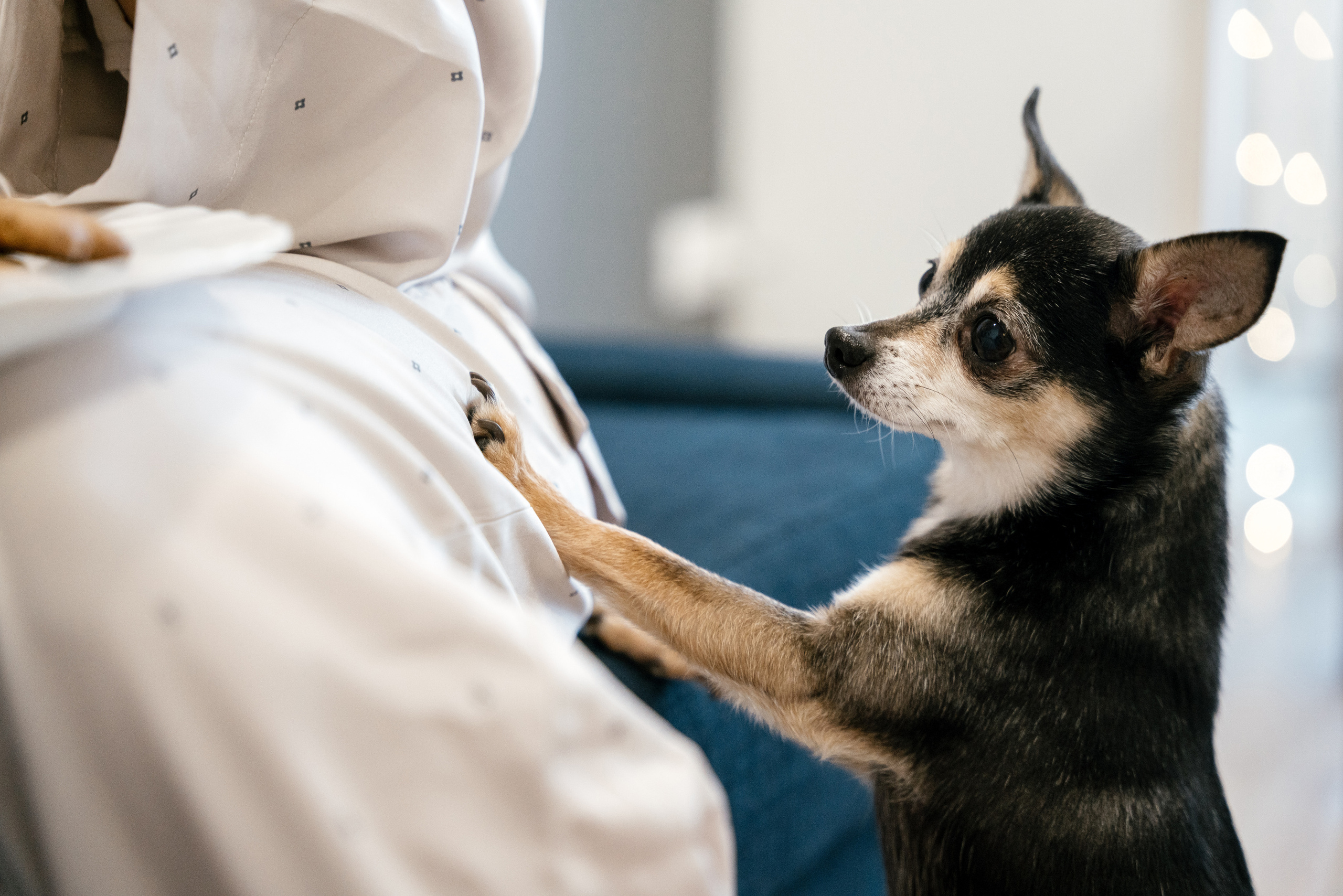 25.12.2021 Sweet Home. Фотограф Томск, Новосибирск Влад Свириденко